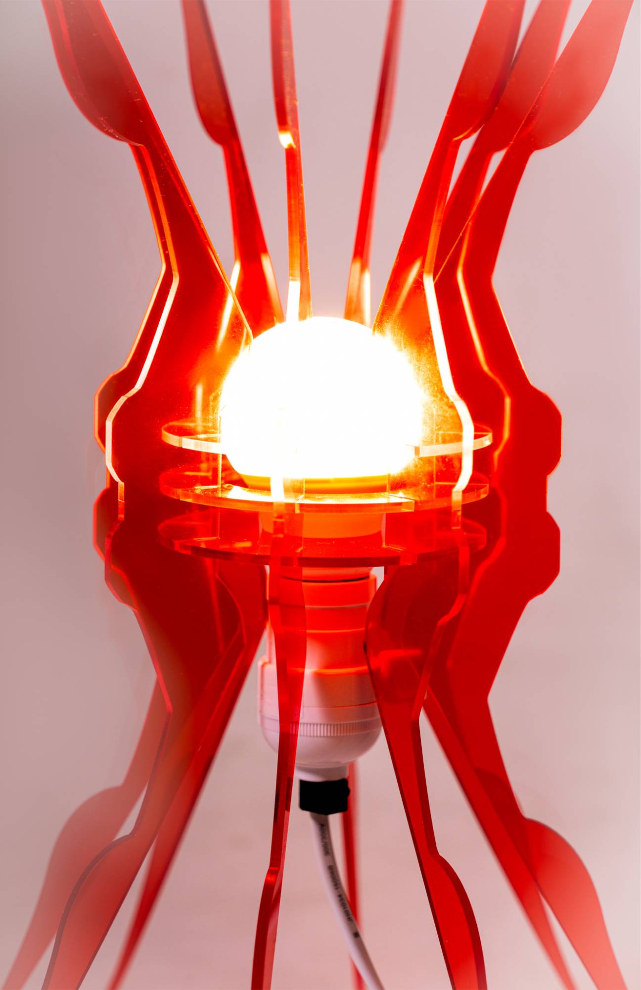 First Love - AqpA Studio - CAVA LIFE