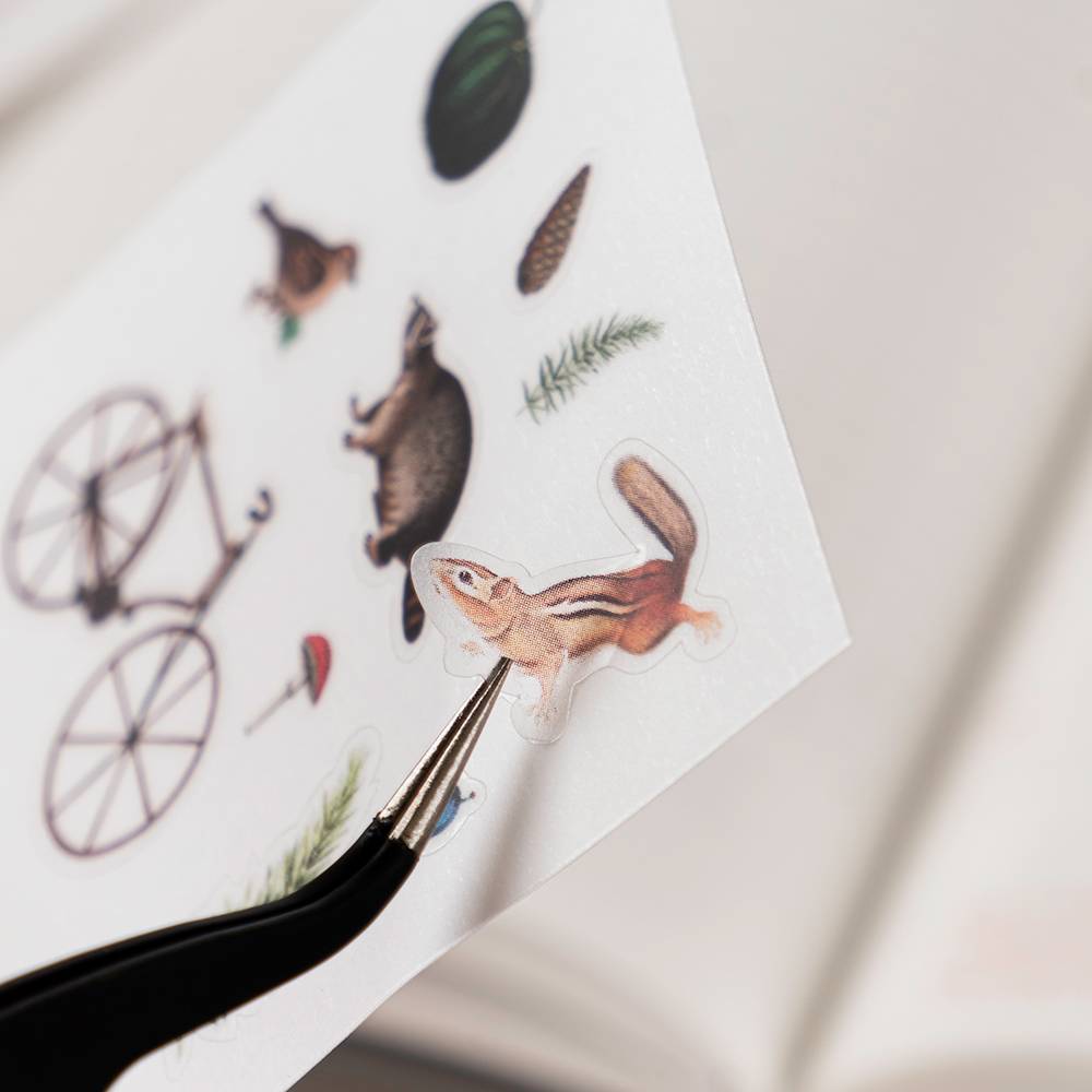 LESS LOVE LABS - BACKYARD (투명 씰스티커)