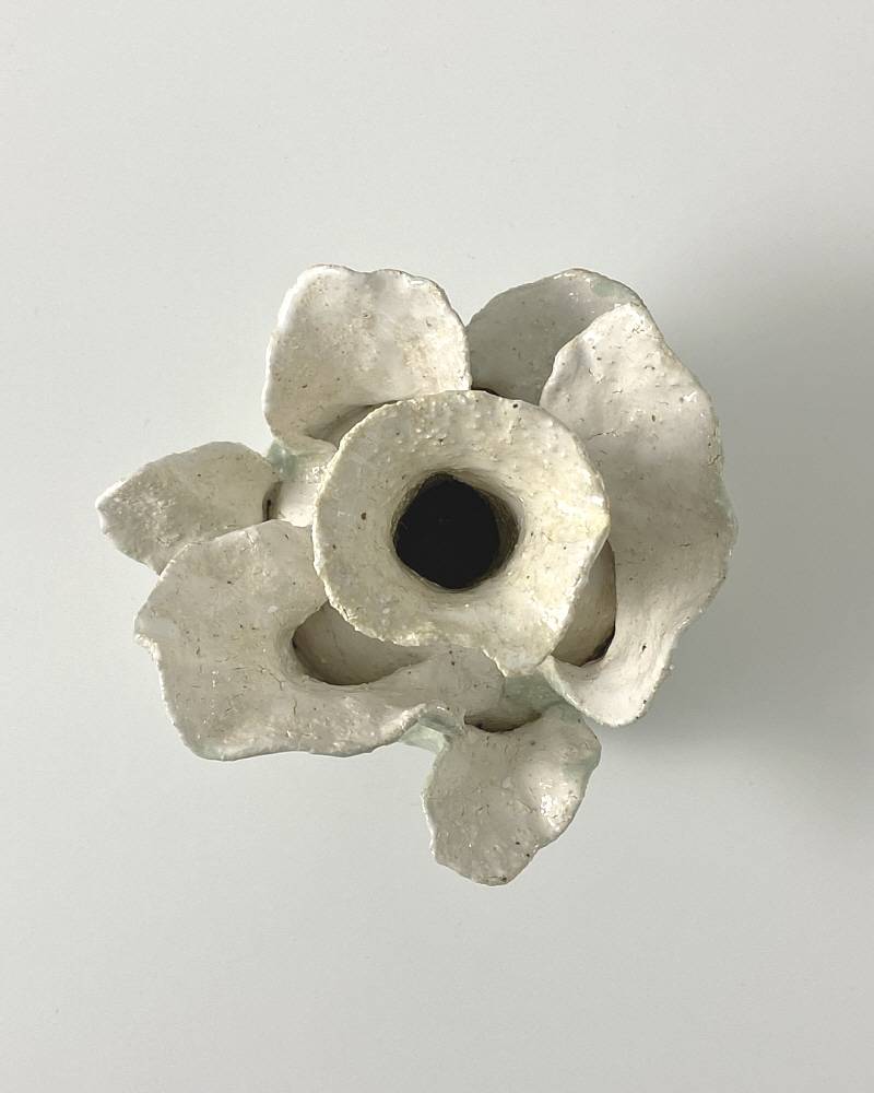 드리아데스의 엘릭시르 - khoikos 코이코스 - CAVA LIFE