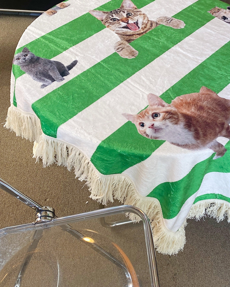 러브캣 스트라이프 블랭킷 - you like what 유라이크왓 - CAVA LIFE