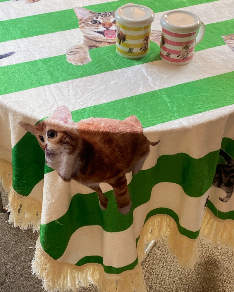 러브캣 스트라이프 블랭킷 - you like what 유라이크왓 - CAVA LIFE