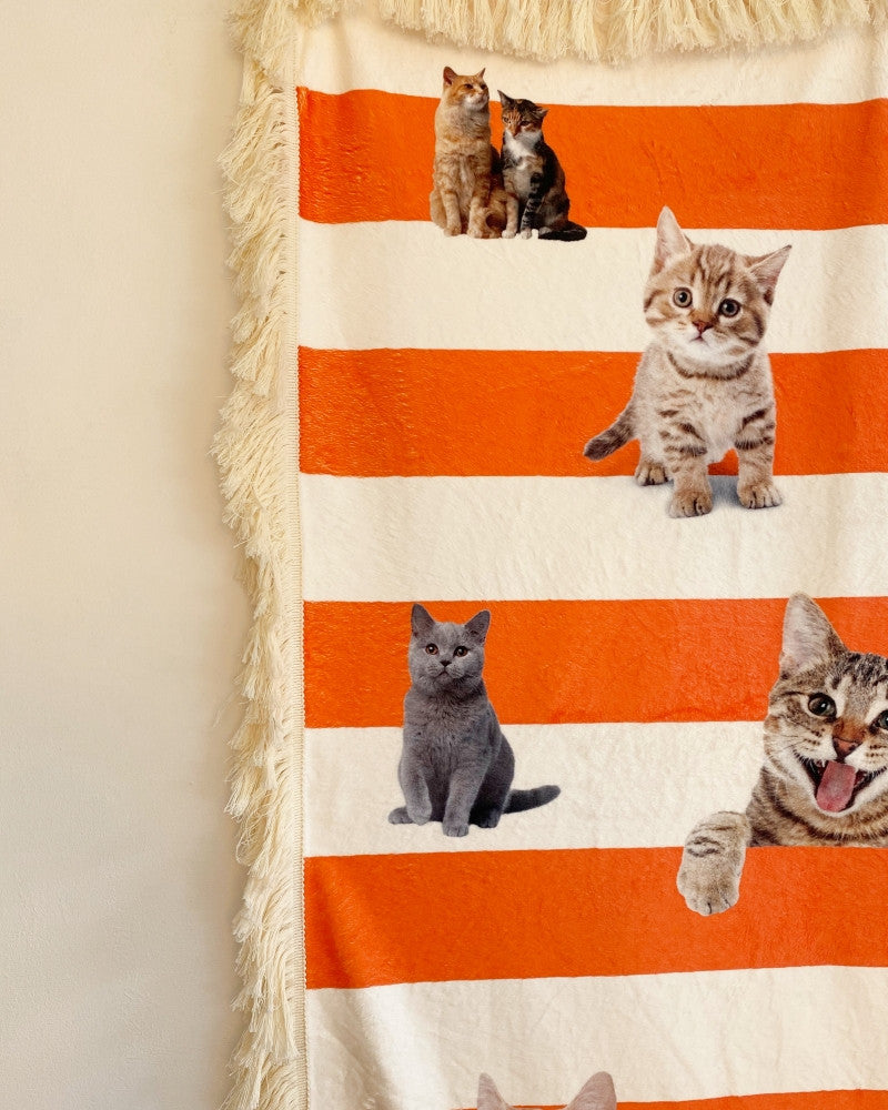 러브캣 스트라이프 블랭킷 - you like what 유라이크왓 - CAVA LIFE