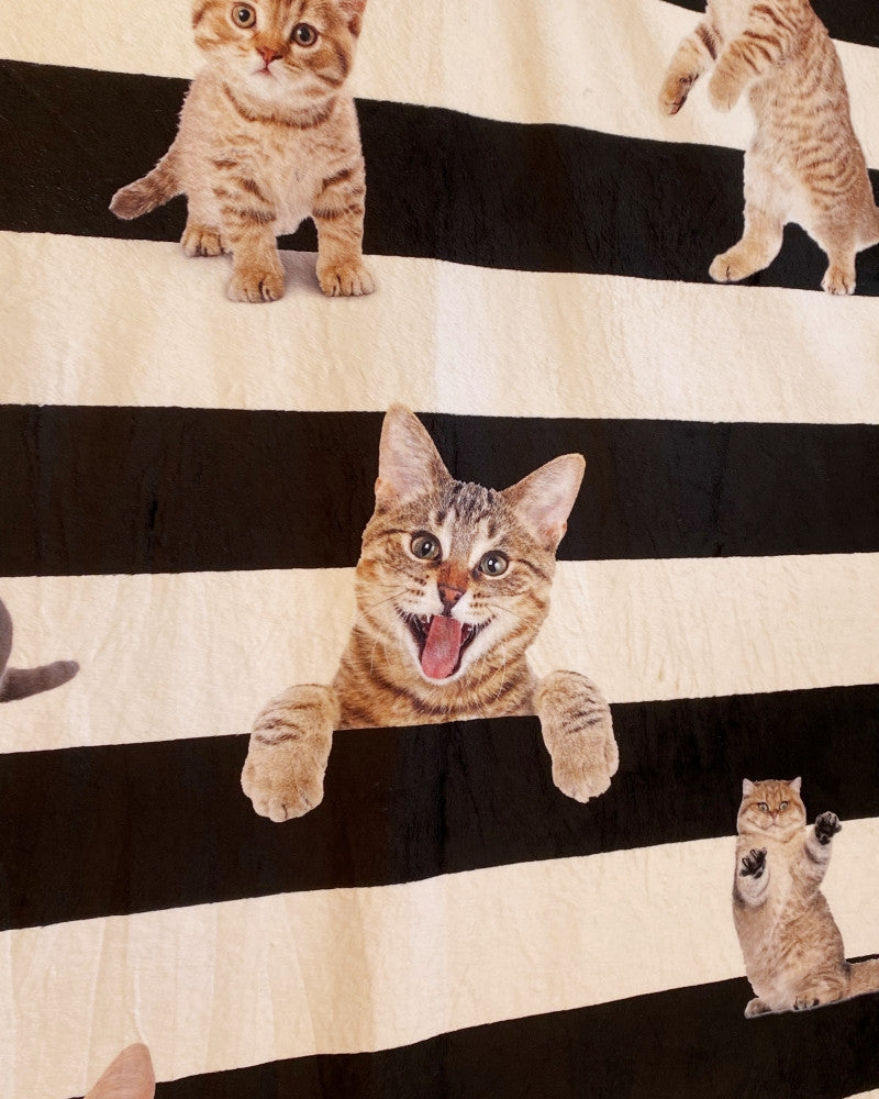 러브캣 스트라이프 블랭킷 - you like what 유라이크왓 - CAVA LIFE