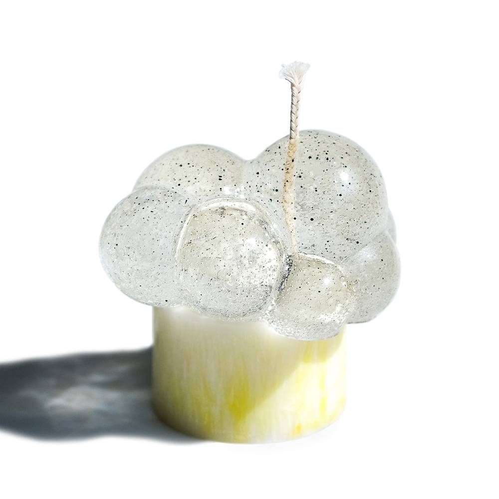 프릴리 FREELY - ZAAH LIBRARY 자아 라이브러리 - CAVA LIFE