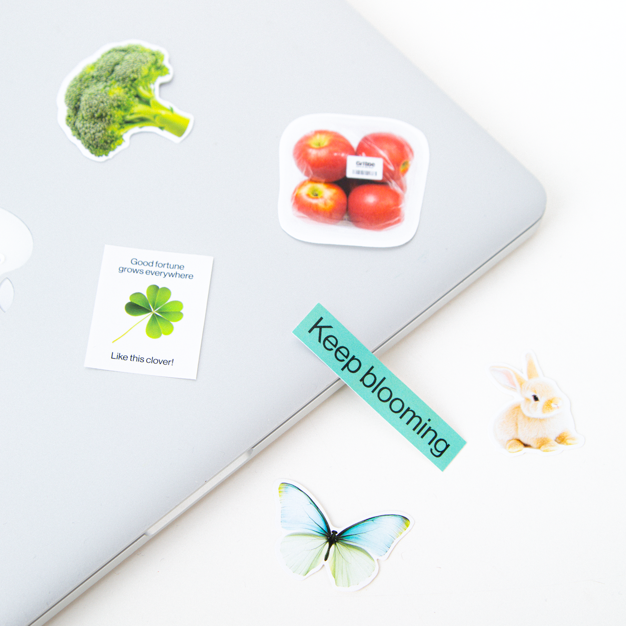 목 사주 개운 스티커 set /  Keep blooming