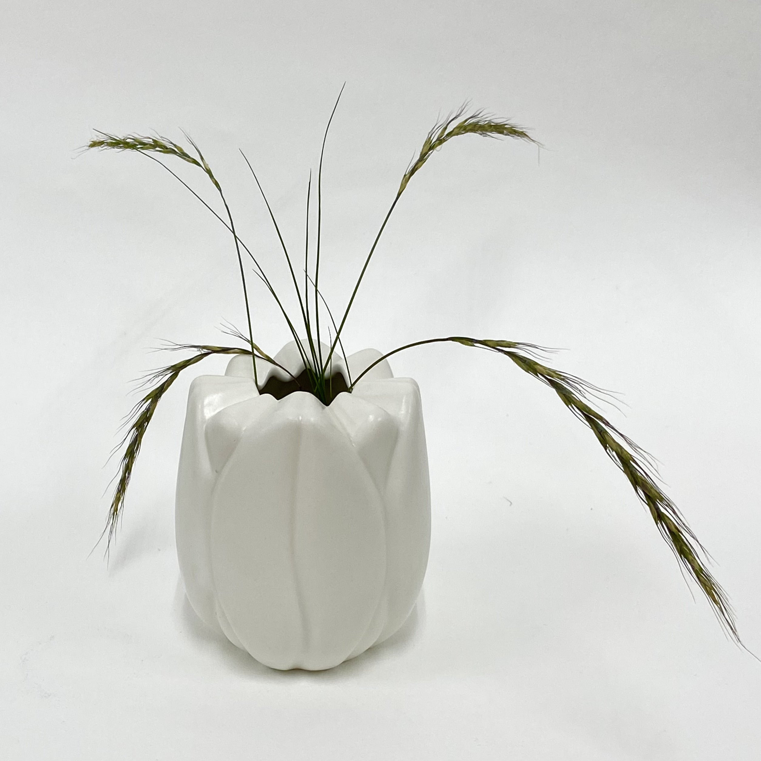 튤립 화병 - yooyoung 유영 - CAVA LIFE