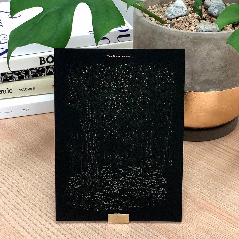 비자림 엽서 - PAPER PLATE 페이퍼플레이트 - CAVA LIFE