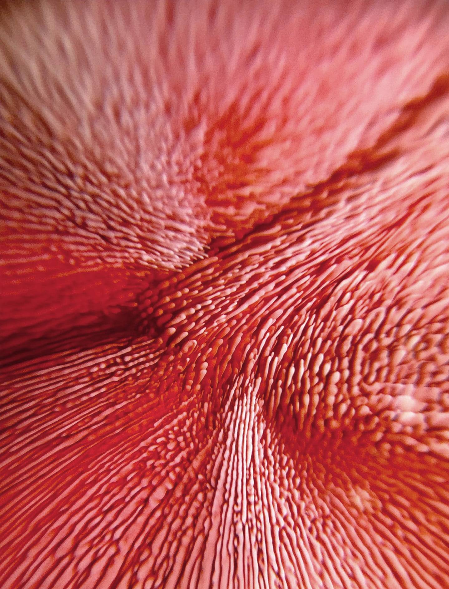 [선물옵션][Baaatok] Tropical Milkway_Coral&Brown