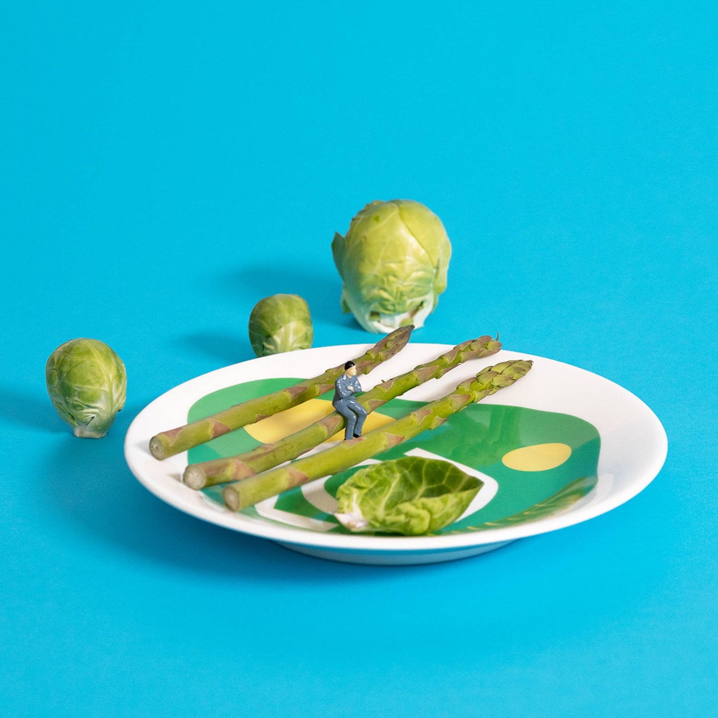 キャベツプレートM