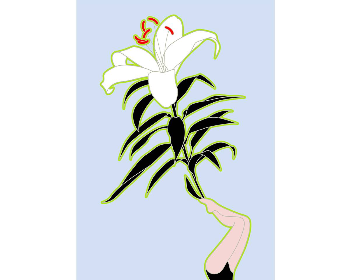 고요한 언어, 하강