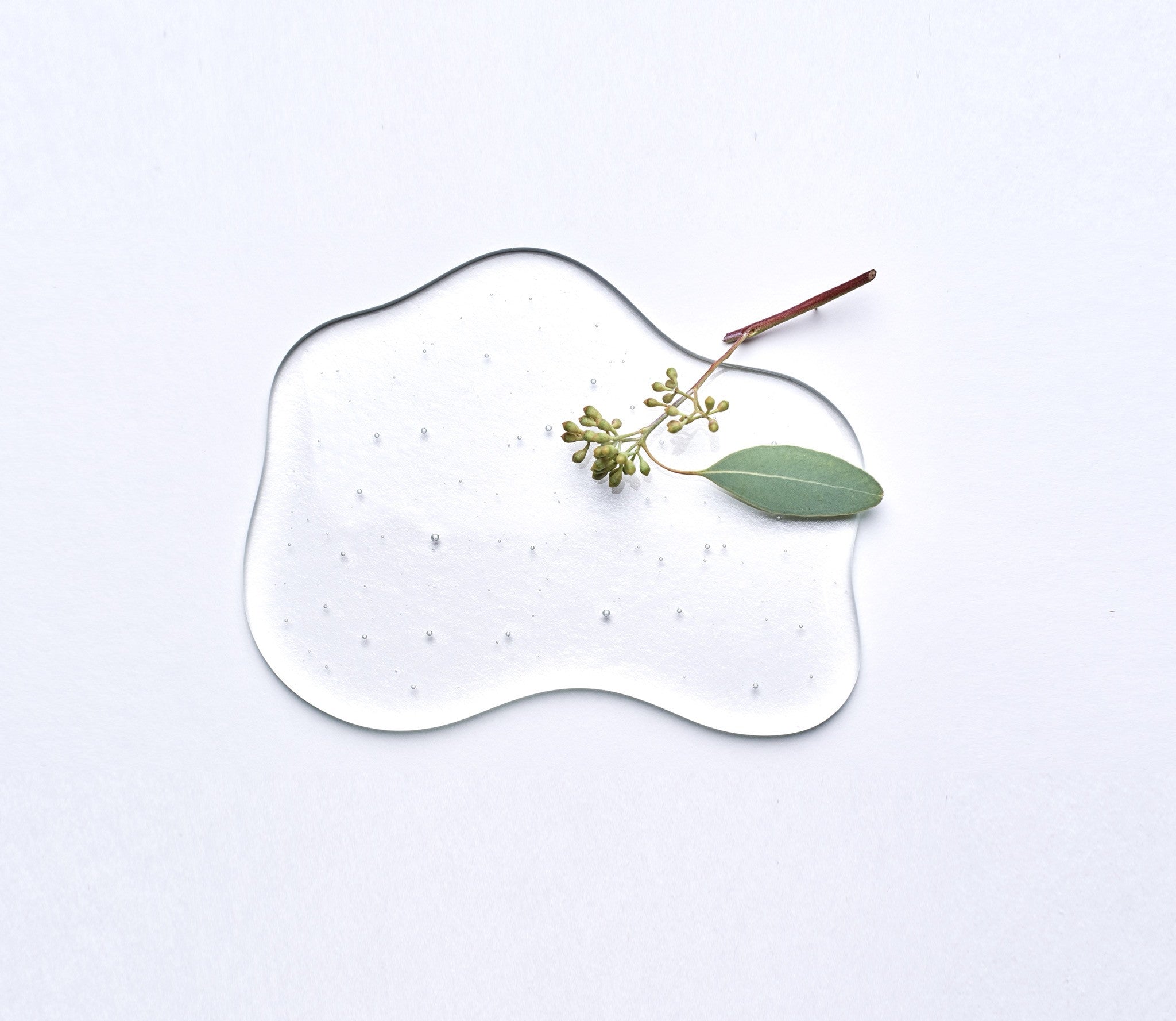 스플레쉬 플레이트