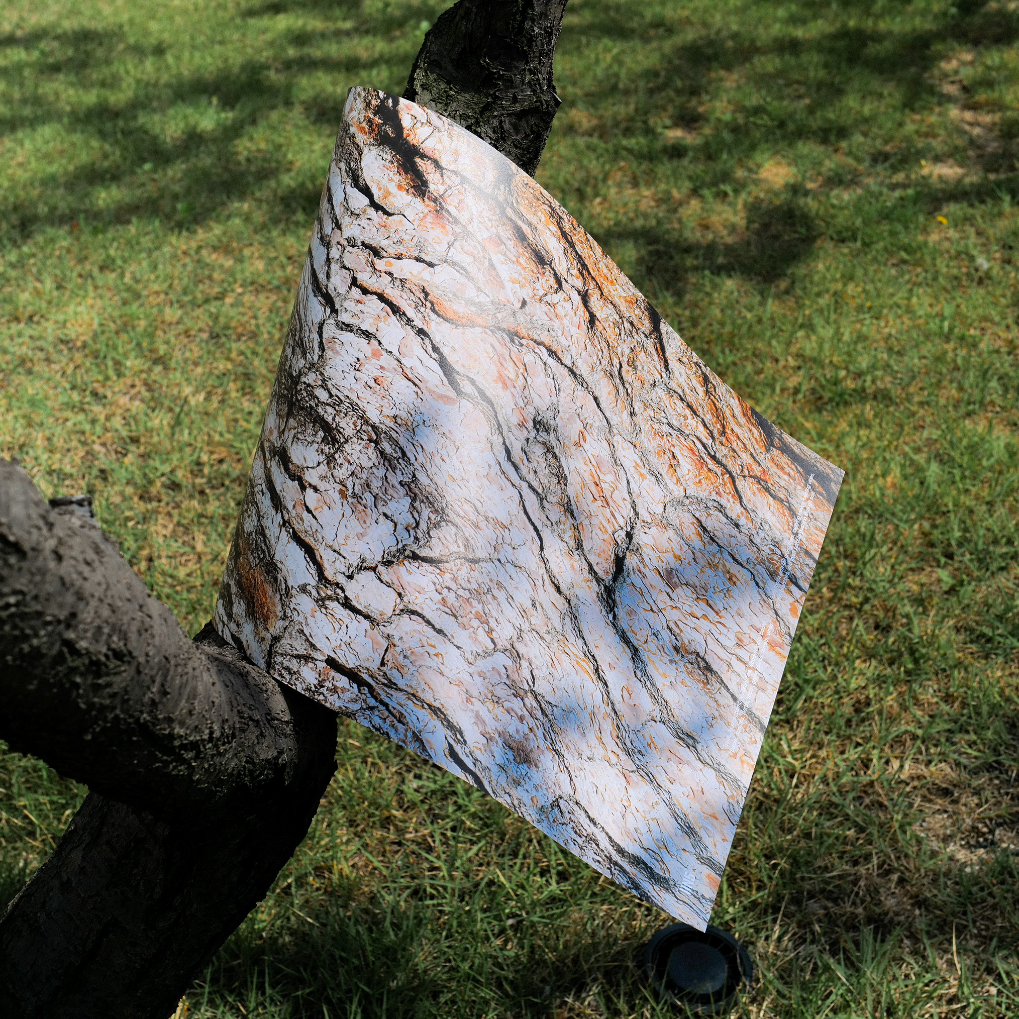 목 사주 질감 파노라마 개운 포스터 / Keep blomming