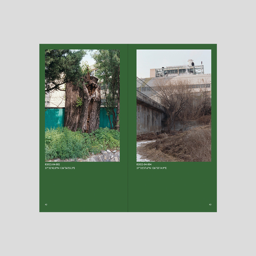 서울 나무 - Jeon Seeyoung 전시영 - CAVA LIFE