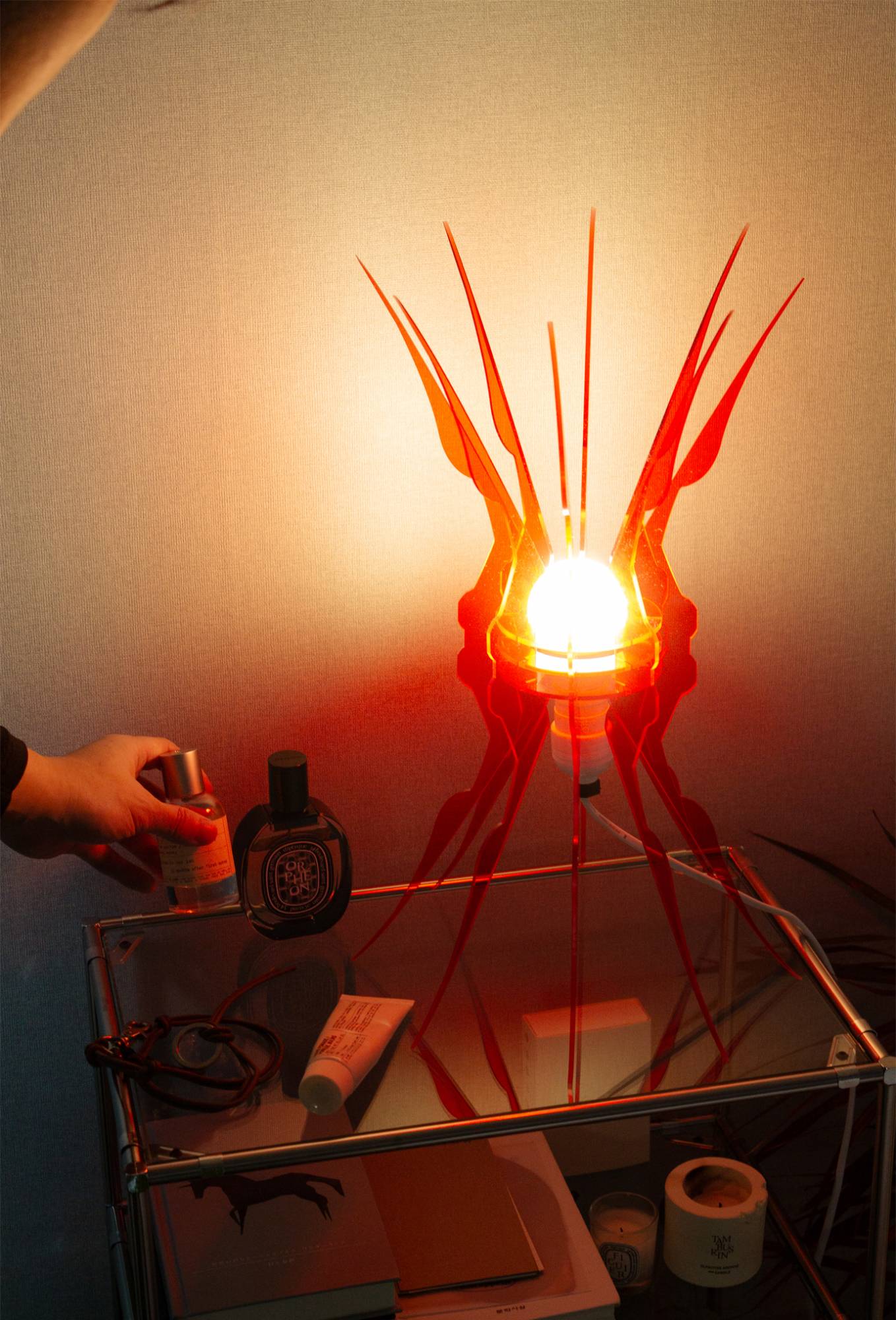 First Love - AqpA Studio - CAVA LIFE