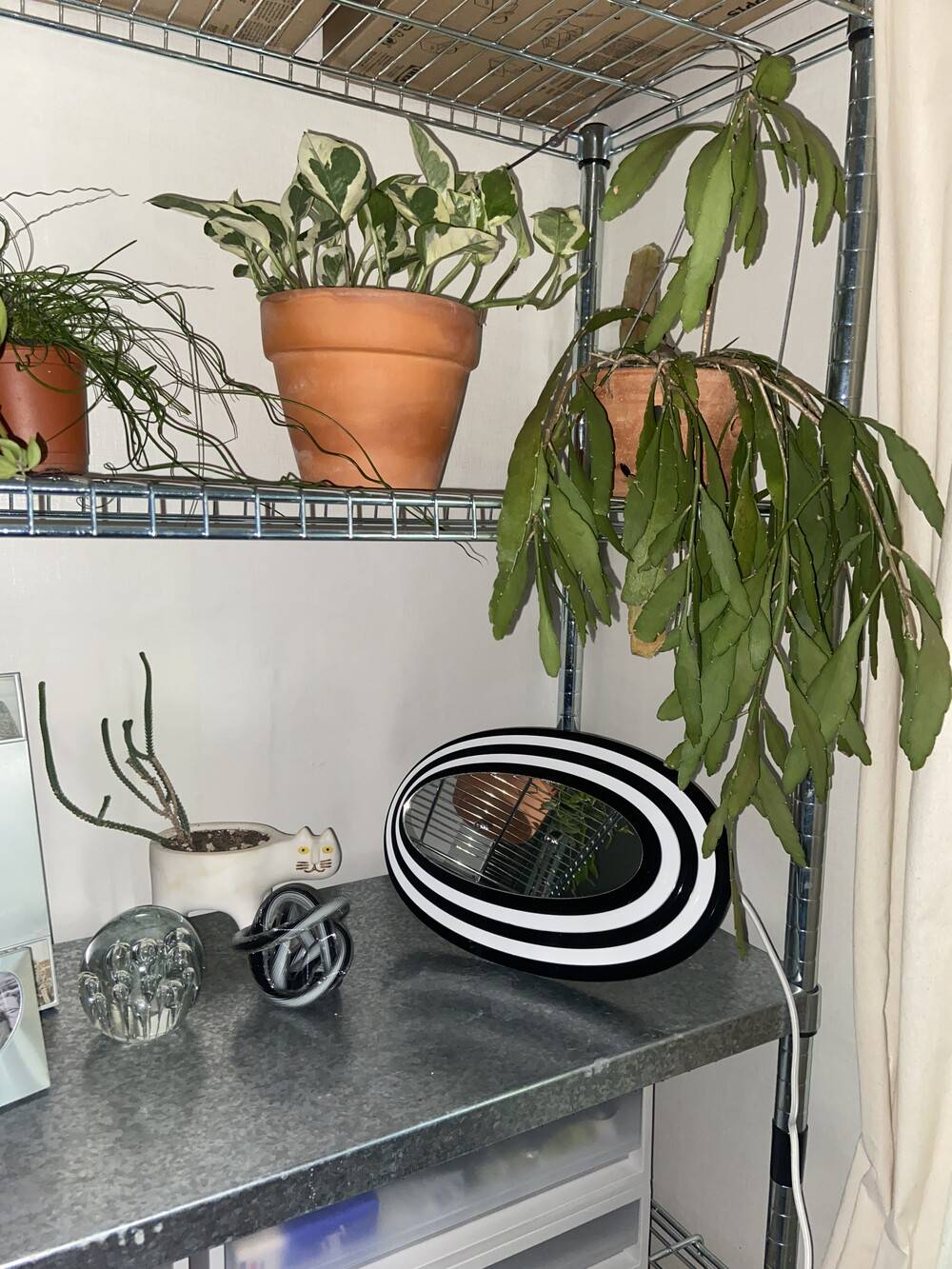 다섯번째_2 - WEODD 위오드 - CAVA LIFE