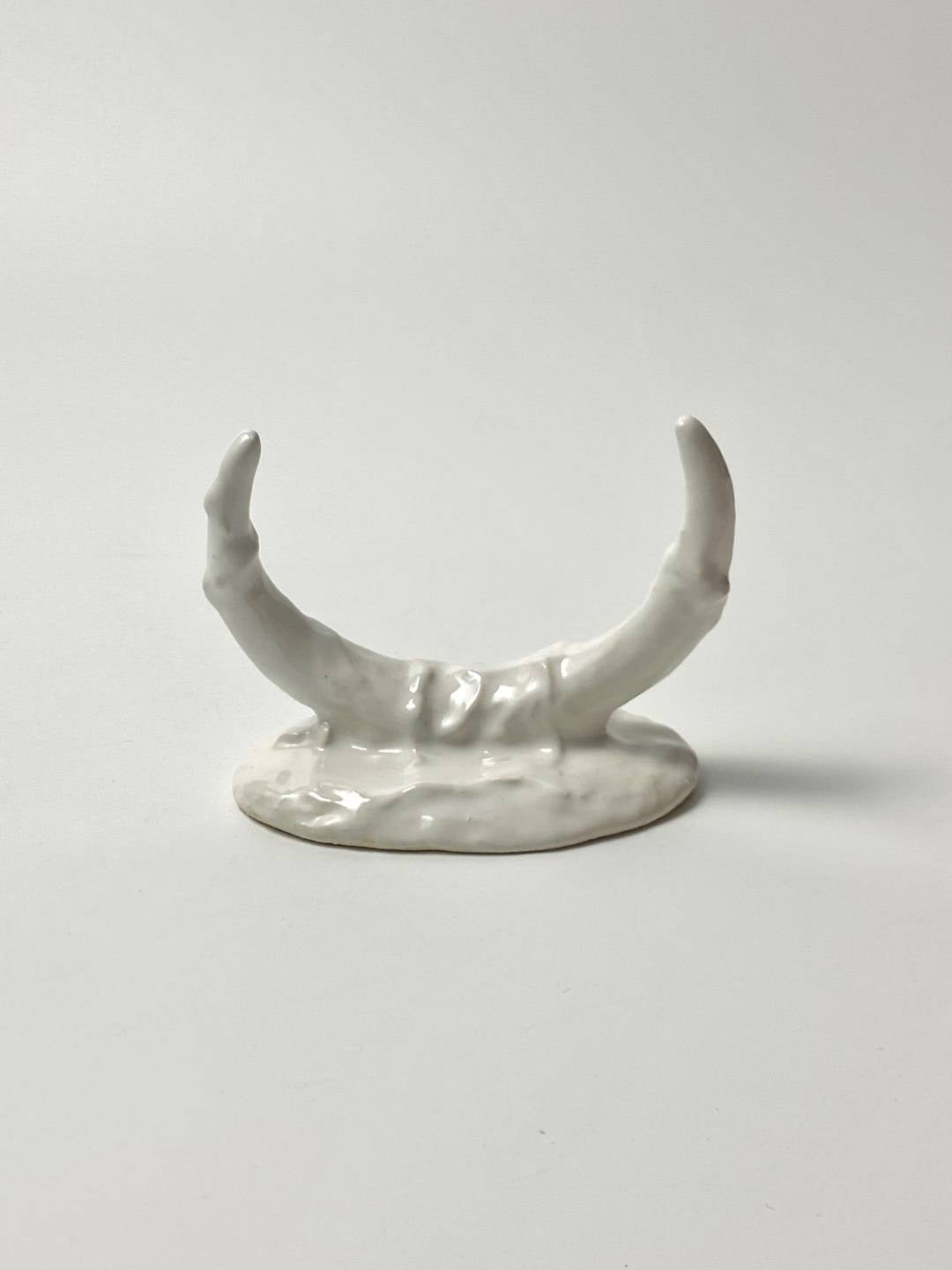 Rib of soil - glossy white