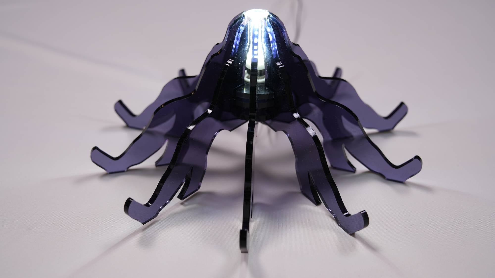 Flutter - AqpA Studio - CAVA LIFE