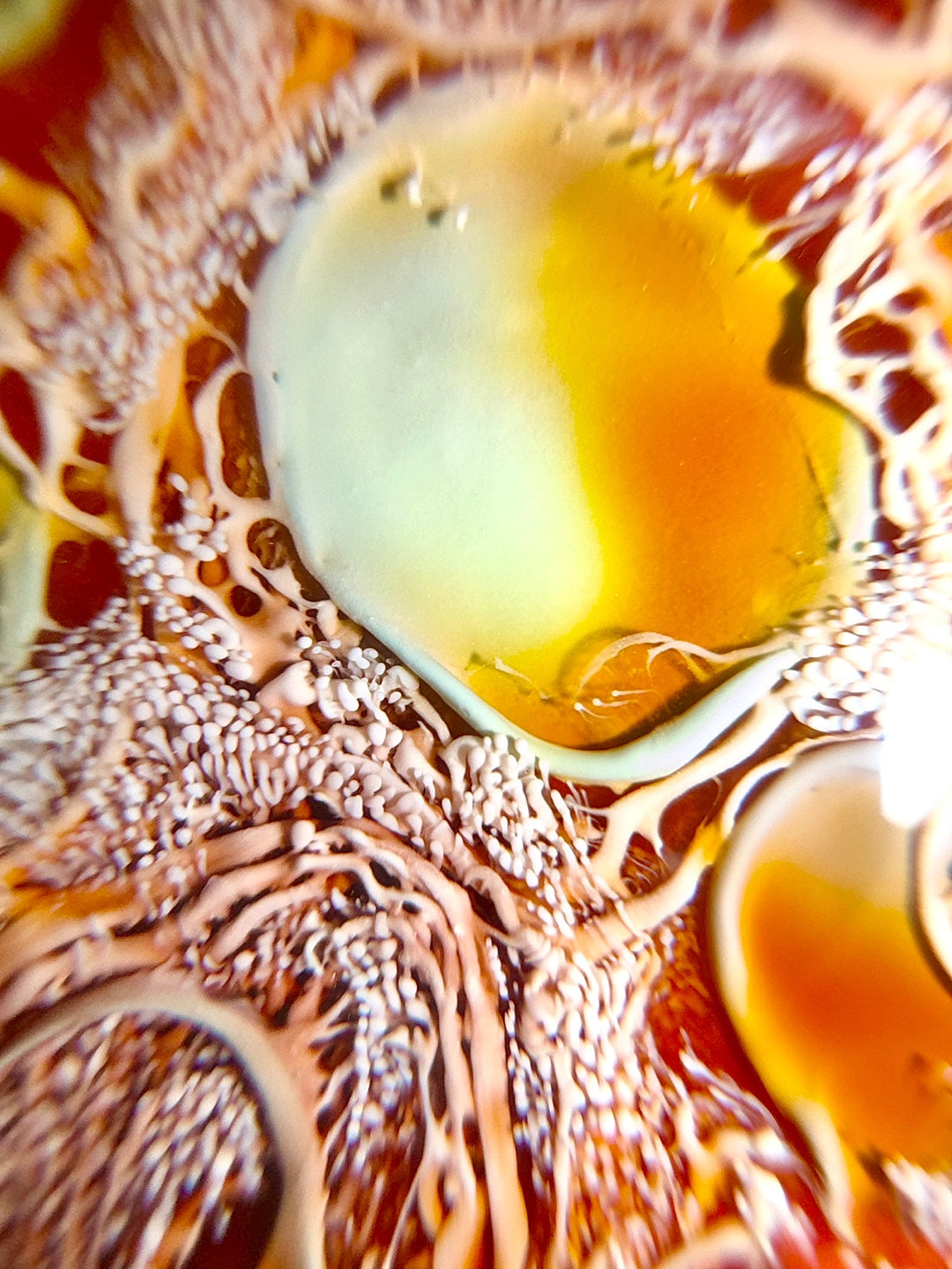 [선물옵션][Baaatok] Acid Mermaid_Deep ver.