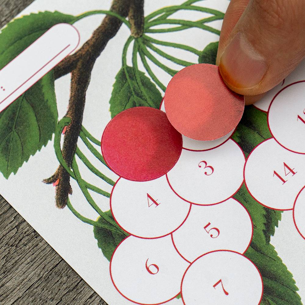 JUST A WISH - 15 DAYS (목표달력 스티커)