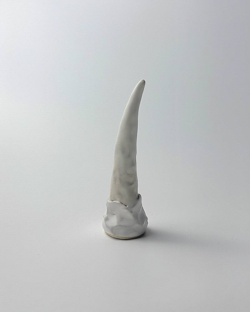 Fang of dragon white