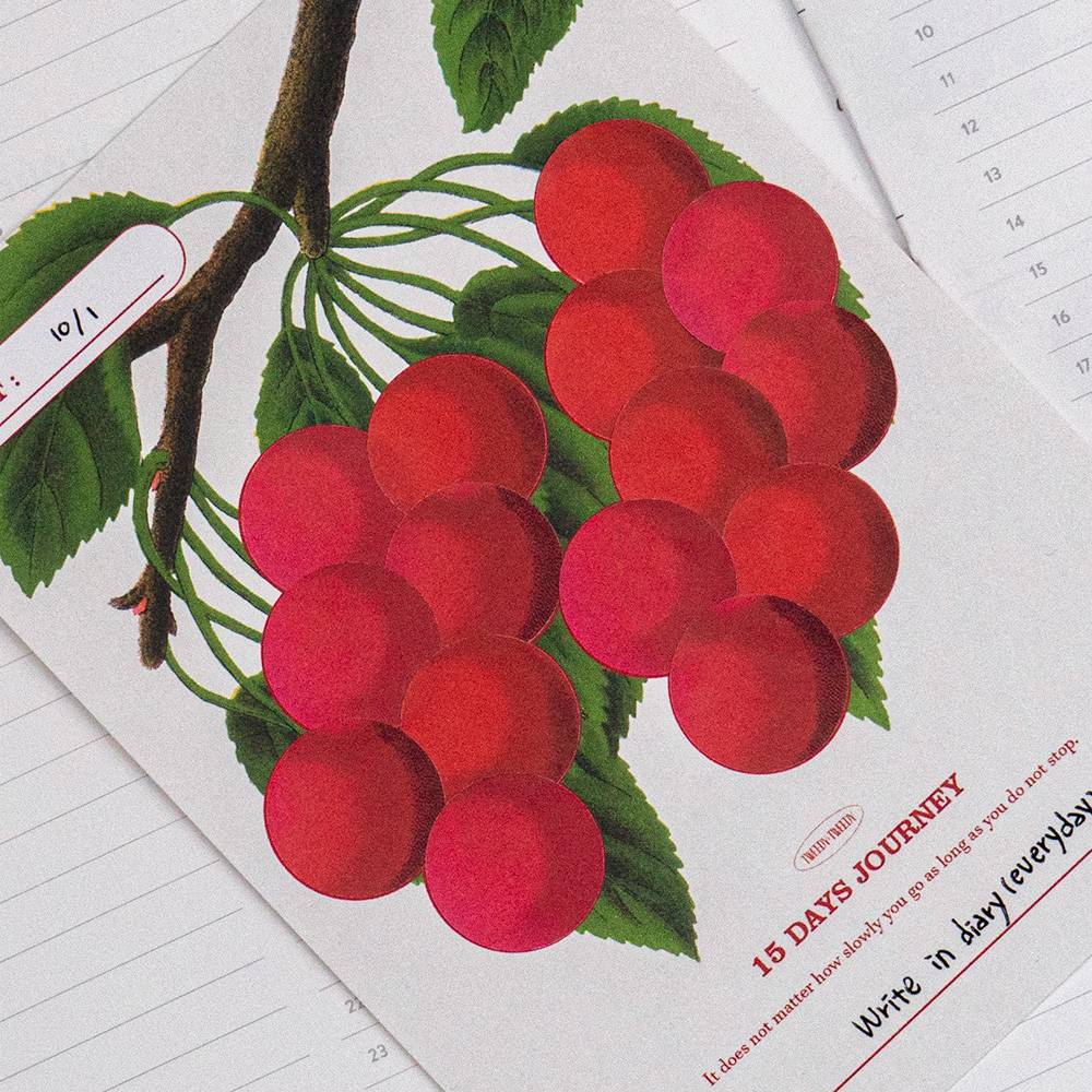 JUST A WISH - 15 DAYS (목표달력 스티커)