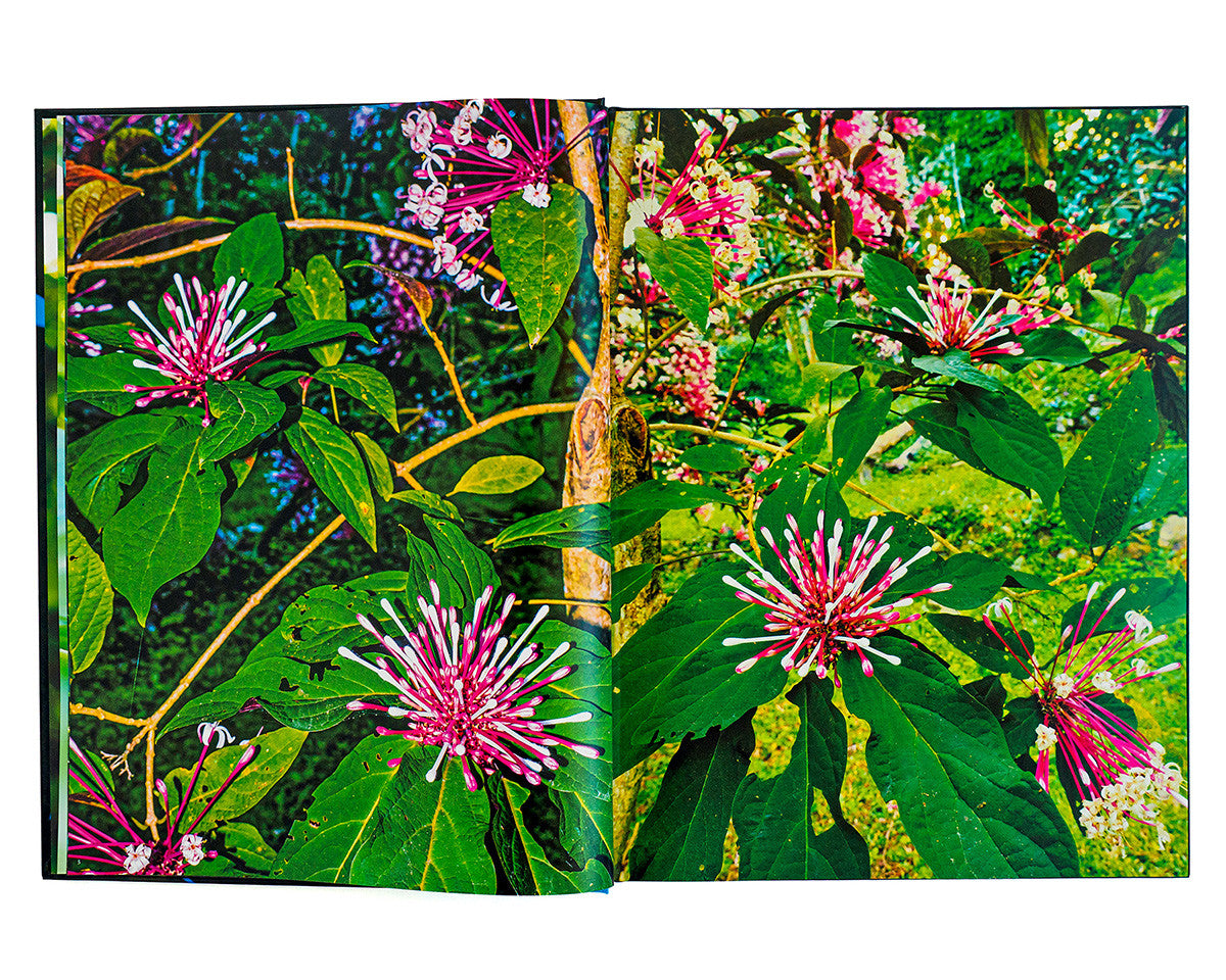 당신의 물건을 자연에 보관하는 방법 - Pionara 피오나라 - CAVA LIFE