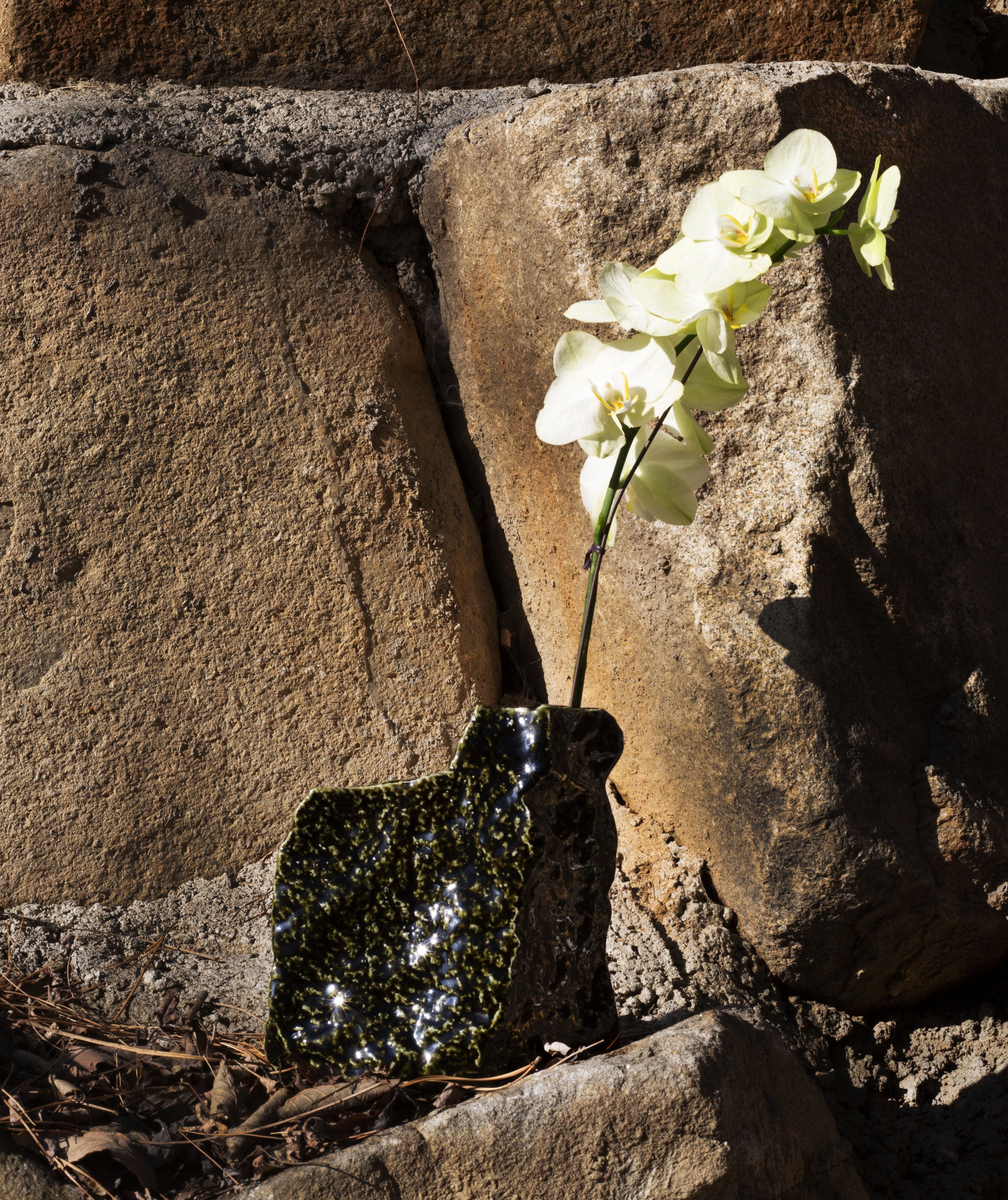 SAI 001 흑유 꽃병 - SAI 사이 - CAVA LIFE