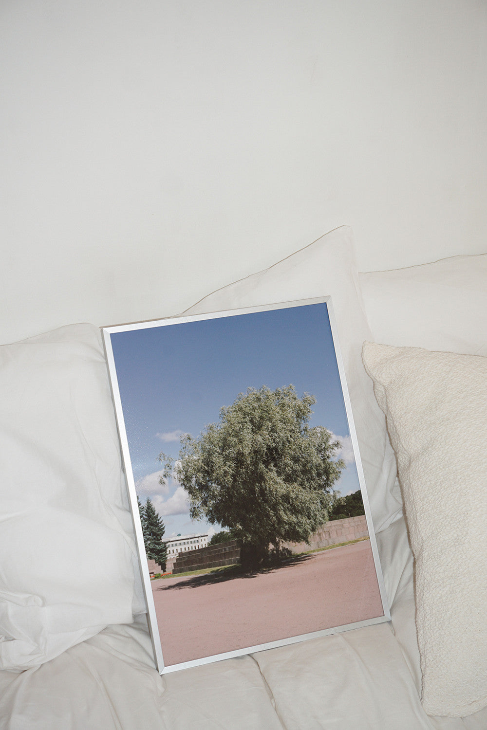 The tree photoprint - Oat Archive 오트아카이브 - CAVA LIFE