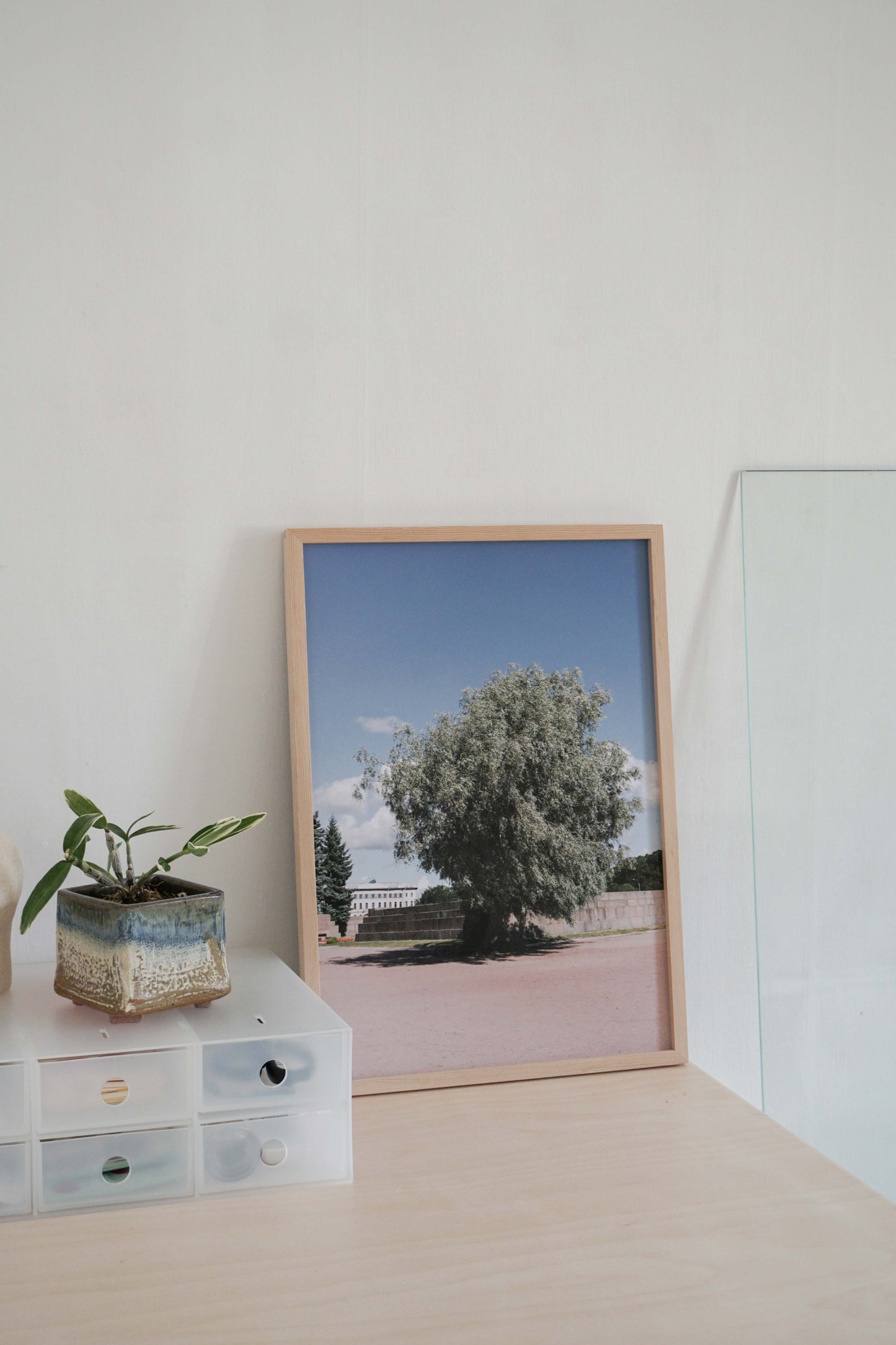 The tree photoprint - Oat Archive 오트아카이브 - CAVA LIFE