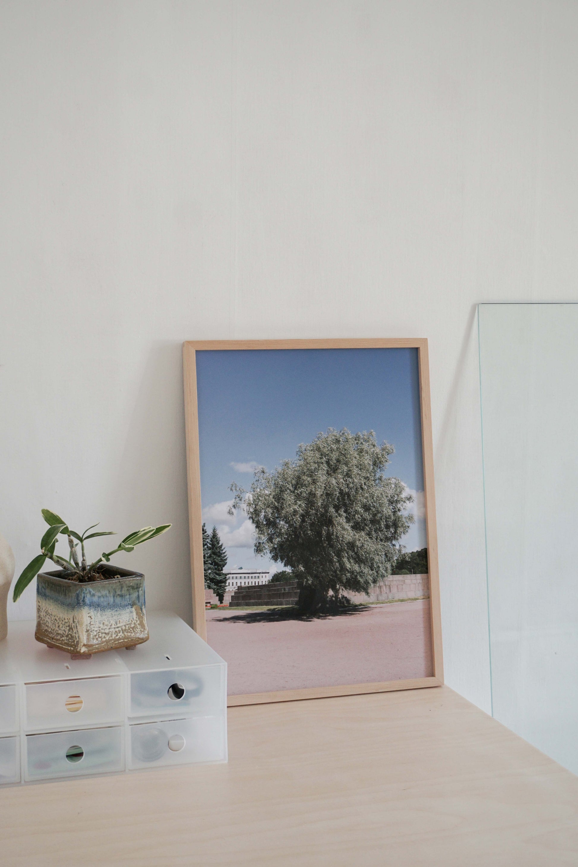 The tree photoprint - Oat Archive 오트아카이브 - CAVA LIFE