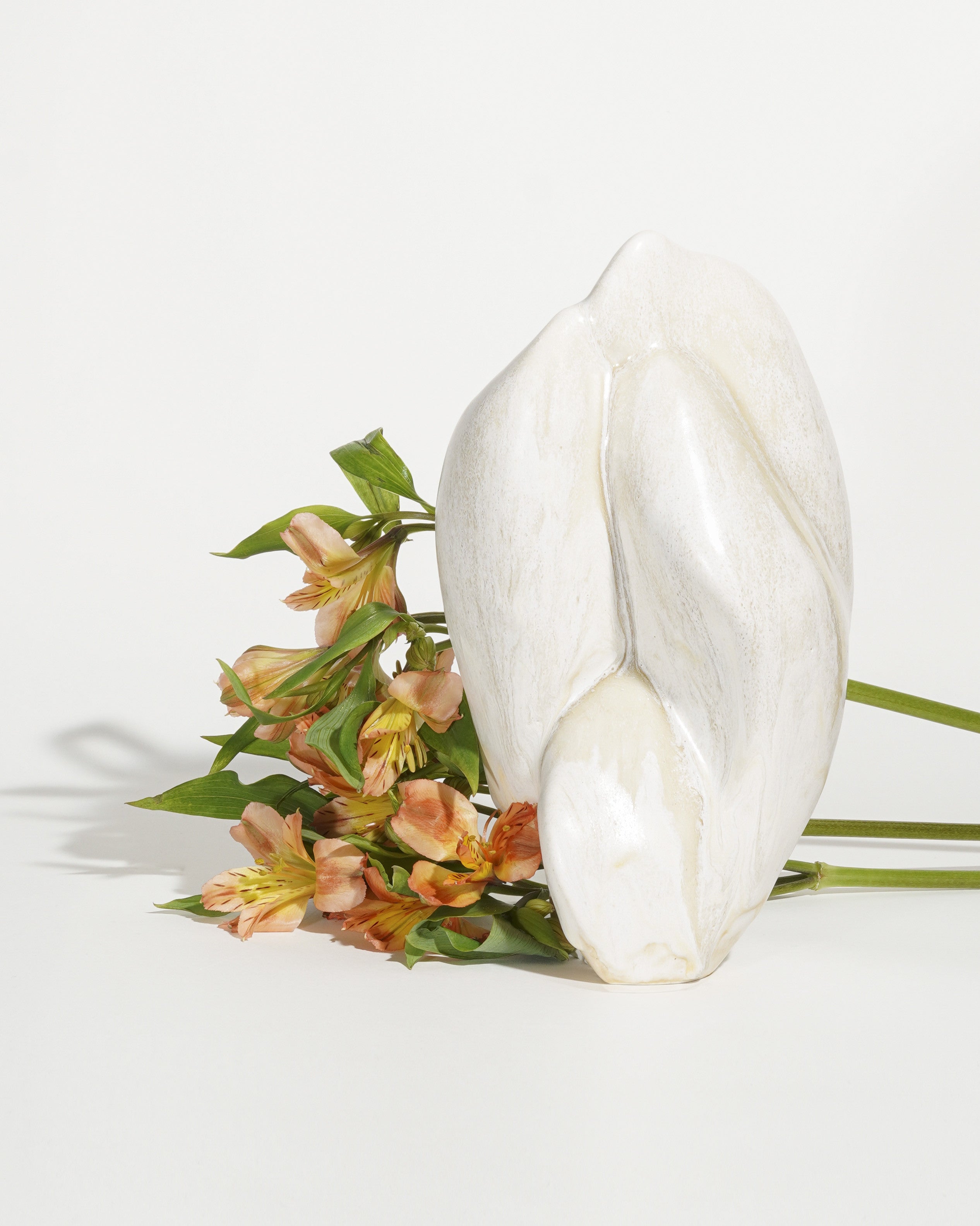 흰색 산호 - Momolim 모모림 - CAVA LIFE