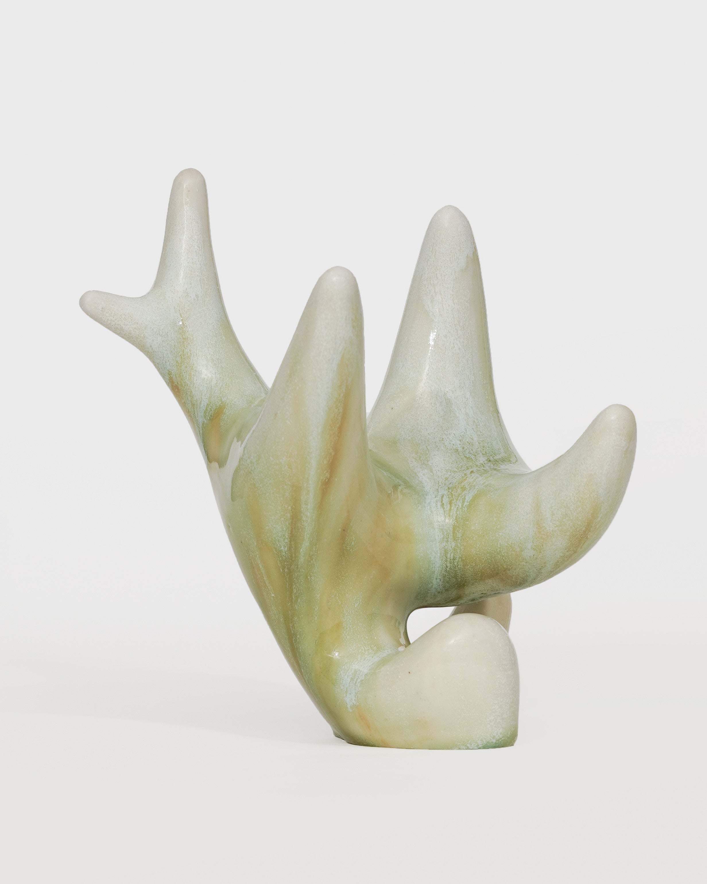 청가지 gloss/matt - Momolim 모모림 - CAVA LIFE