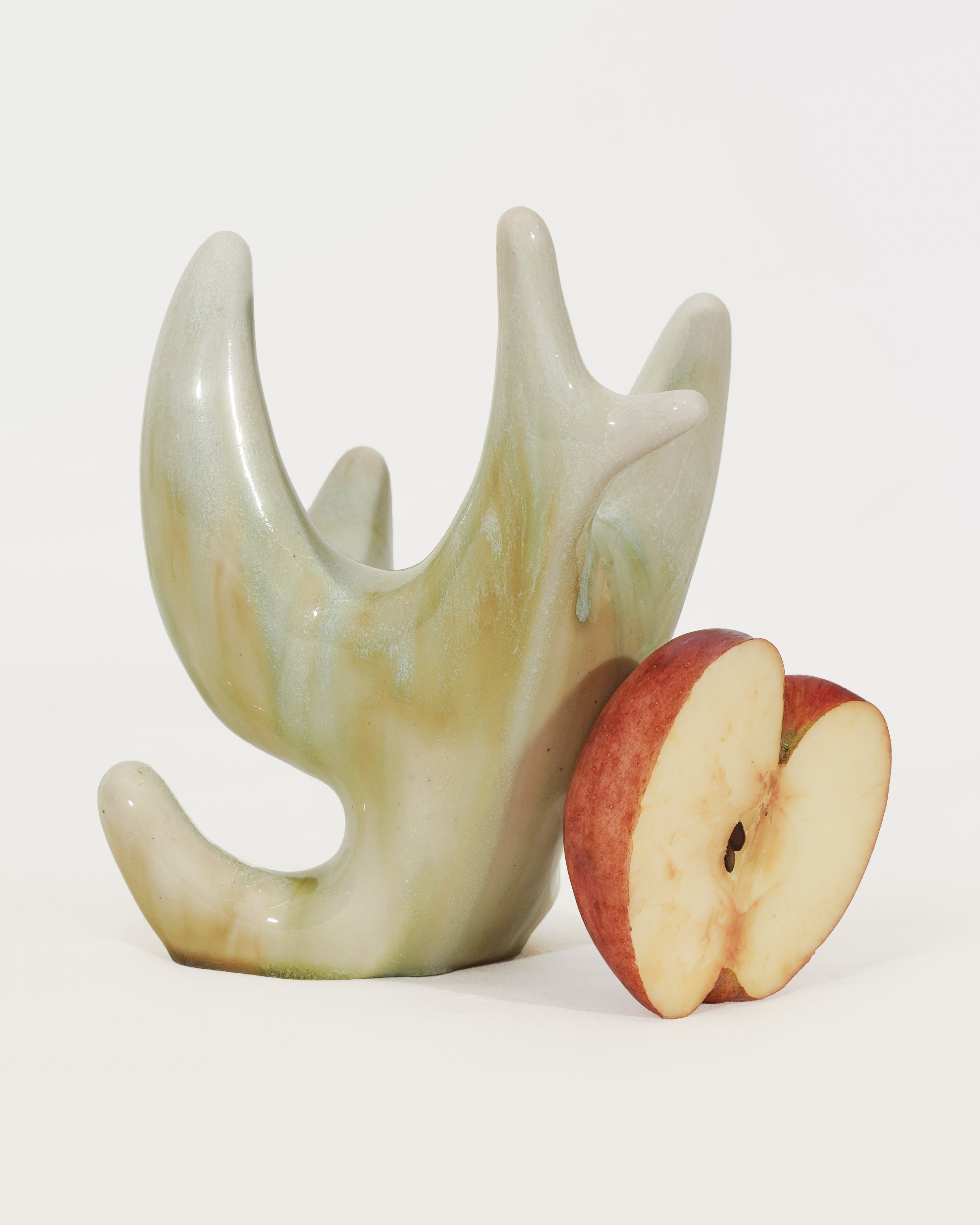 청가지 gloss/matt - Momolim 모모림 - CAVA LIFE