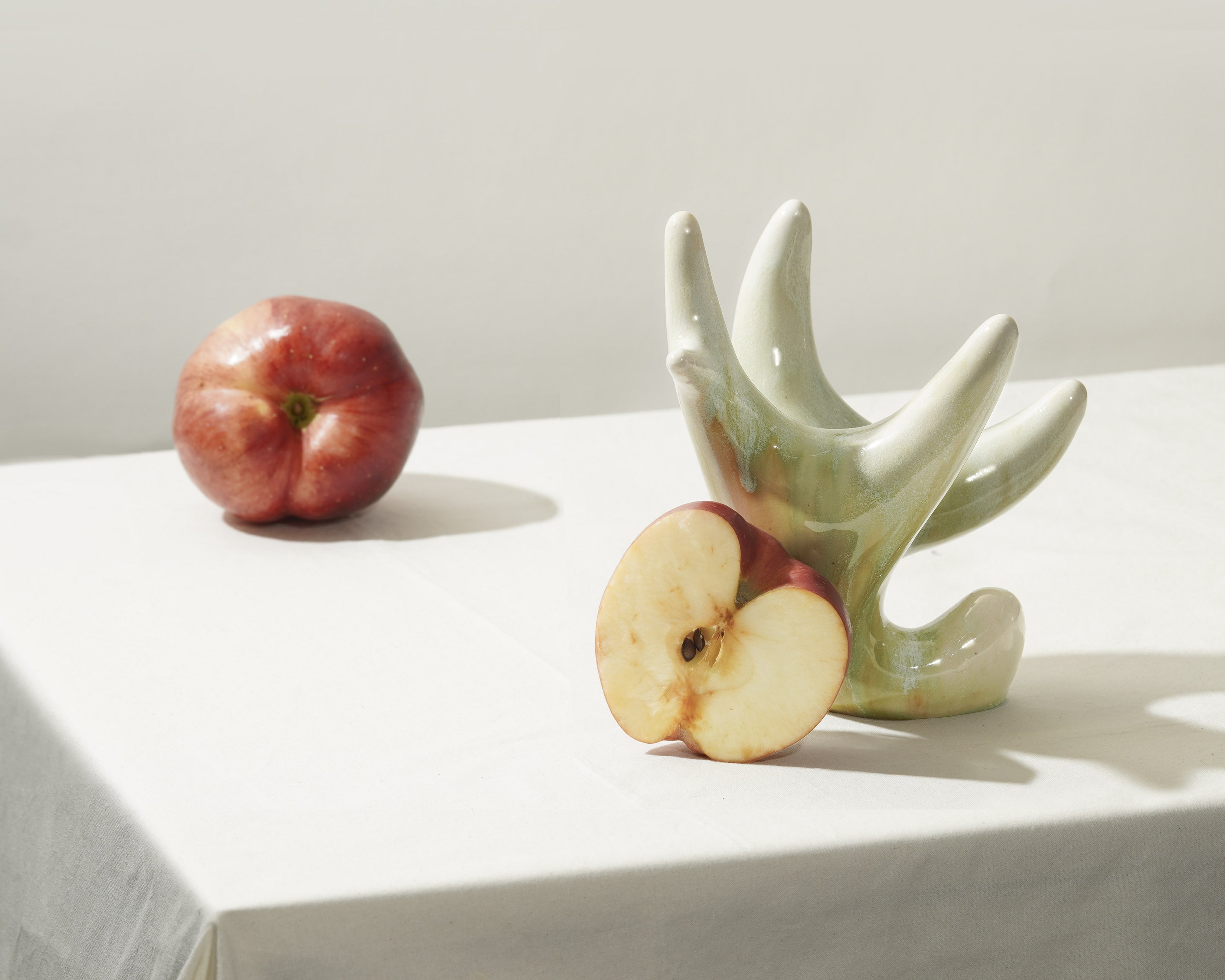 청가지 gloss/matt - Momolim 모모림 - CAVA LIFE