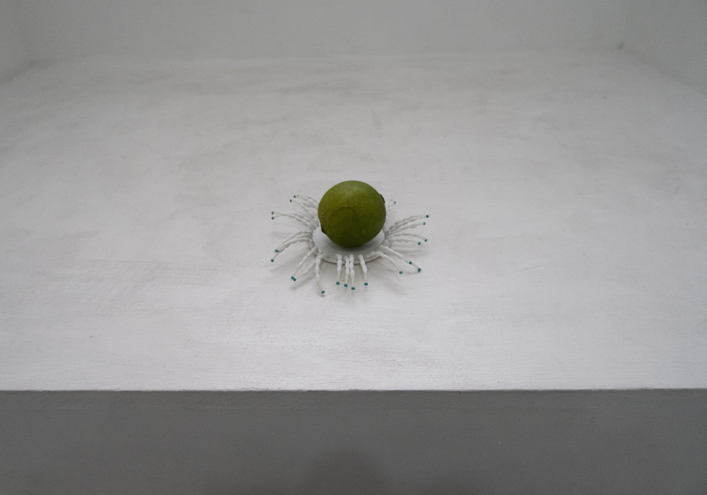 fringe dish_03 - Jinsun Lee 이진선 - CAVA LIFE