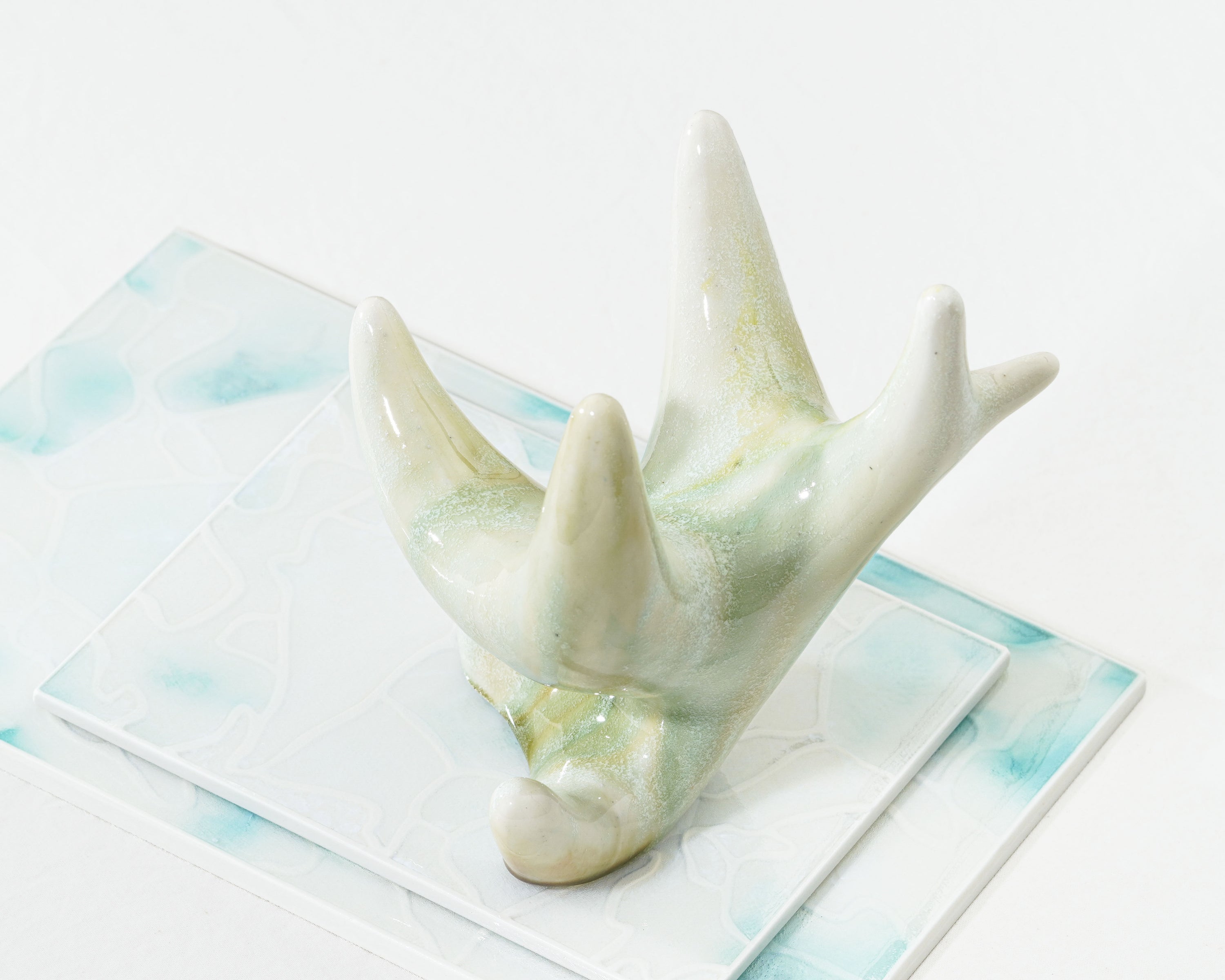 청가지 gloss/matt - Momolim 모모림 - CAVA LIFE