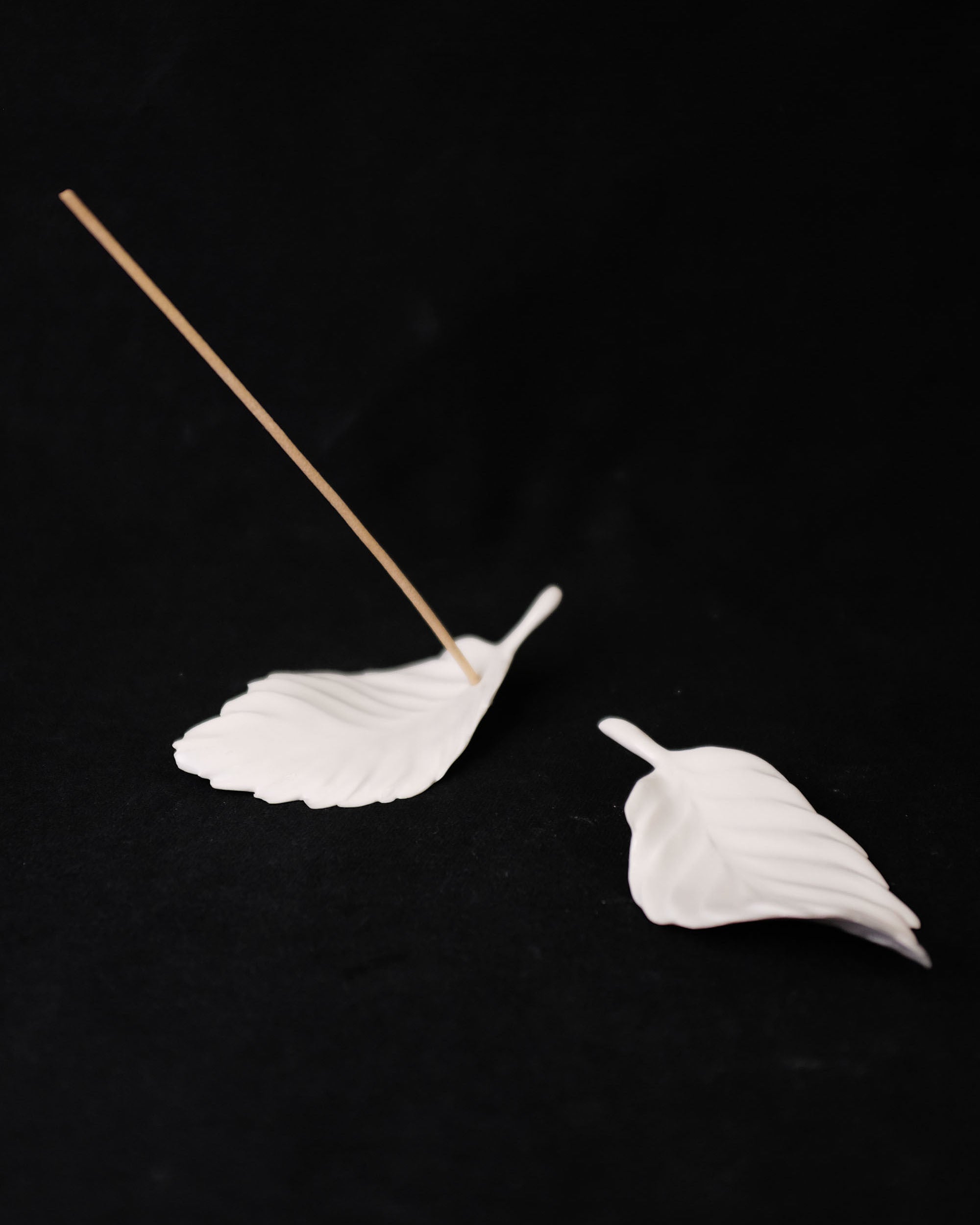 나뭇잎 - tmm 틈 - CAVA LIFE