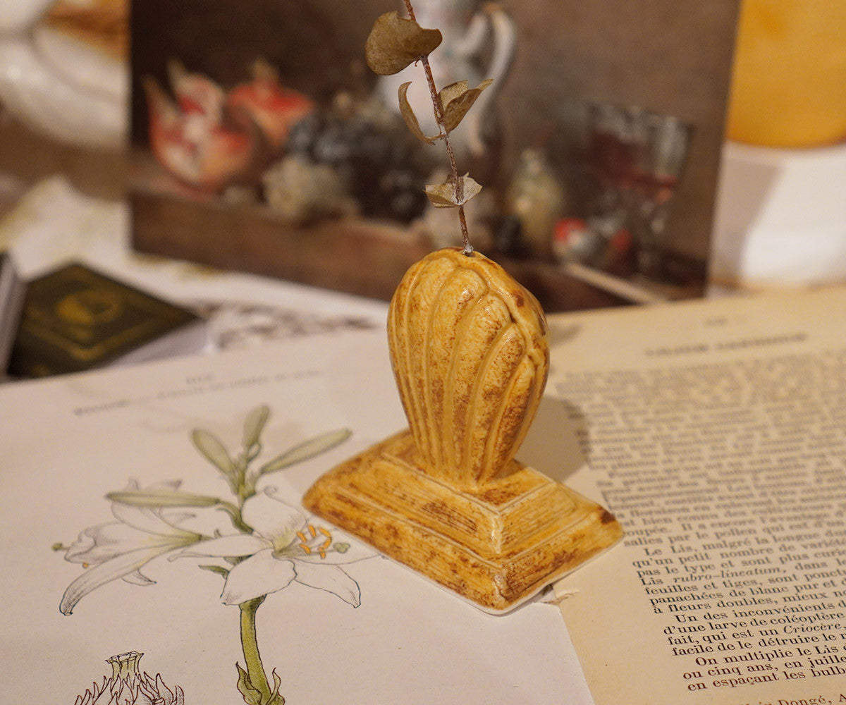 마들렌 프레임 홀더 small (custard cream) - Colin et Chloé 콜랭에클로에 - CAVA LIFE