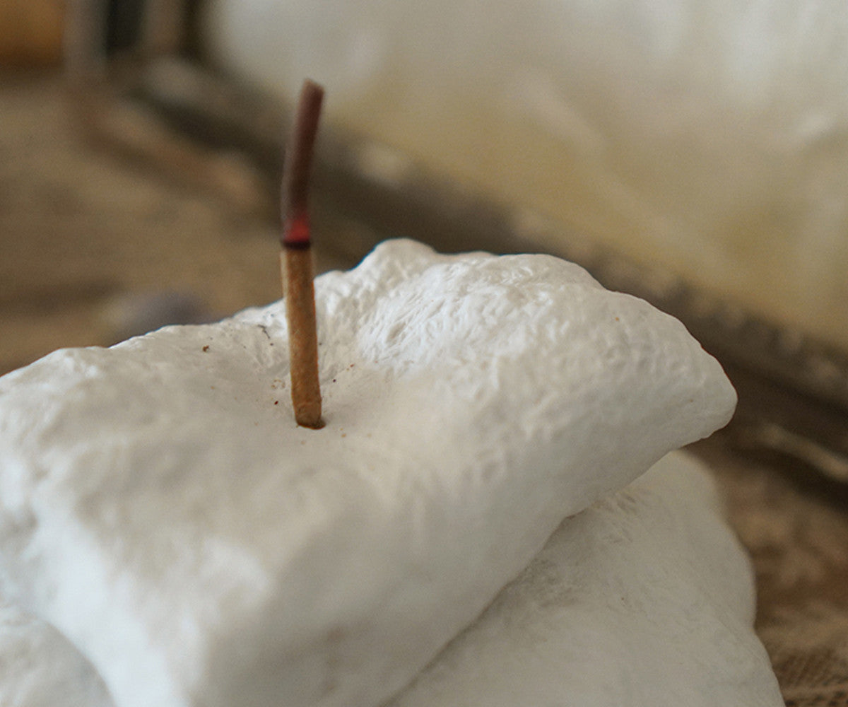 모닝 필로우 SET (4colors) - Colin et Chloé 콜랭에클로에 - CAVA LIFE