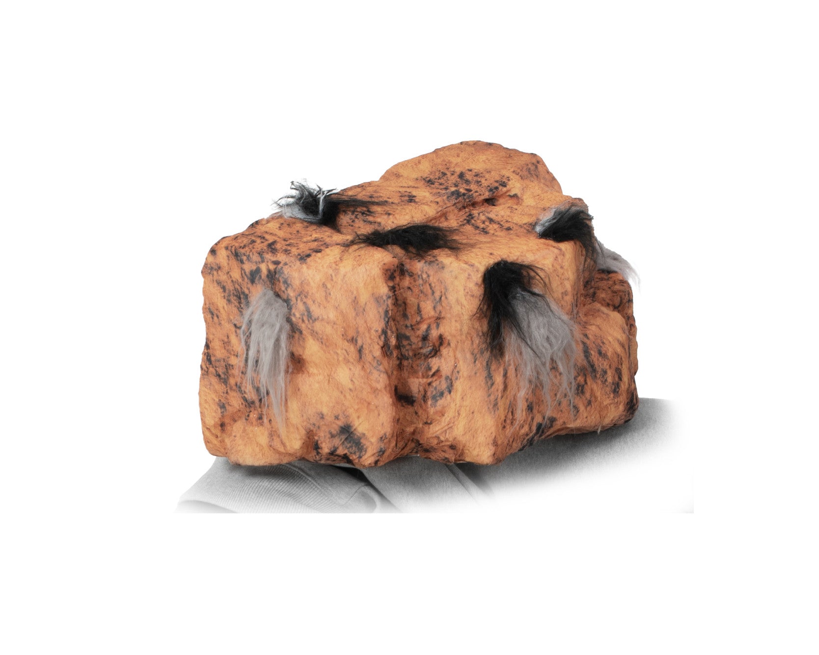 HAIRY NEW BRAIN - CRAPPYROOM 크래피룸 - CAVA LIFE