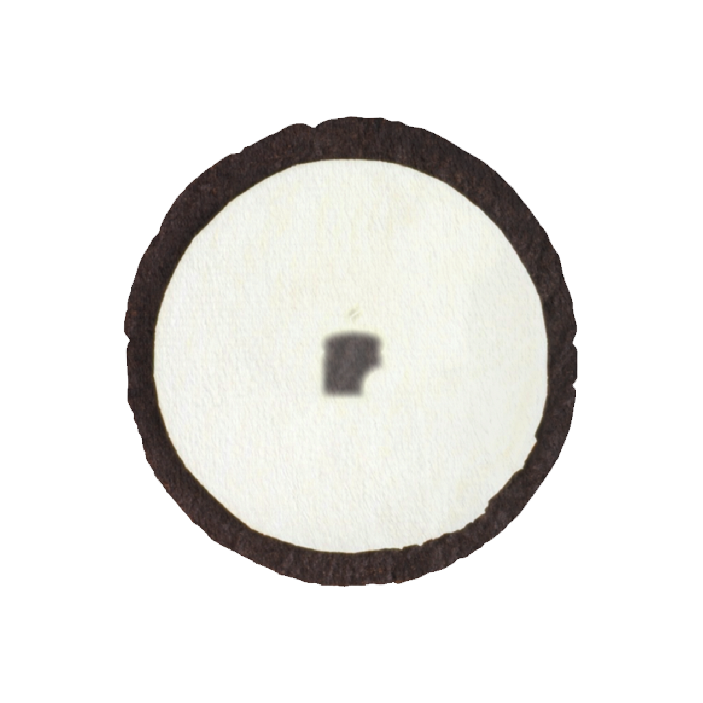 오 와 레 쿠션 - KIZIP 키집 - CAVA LIFE