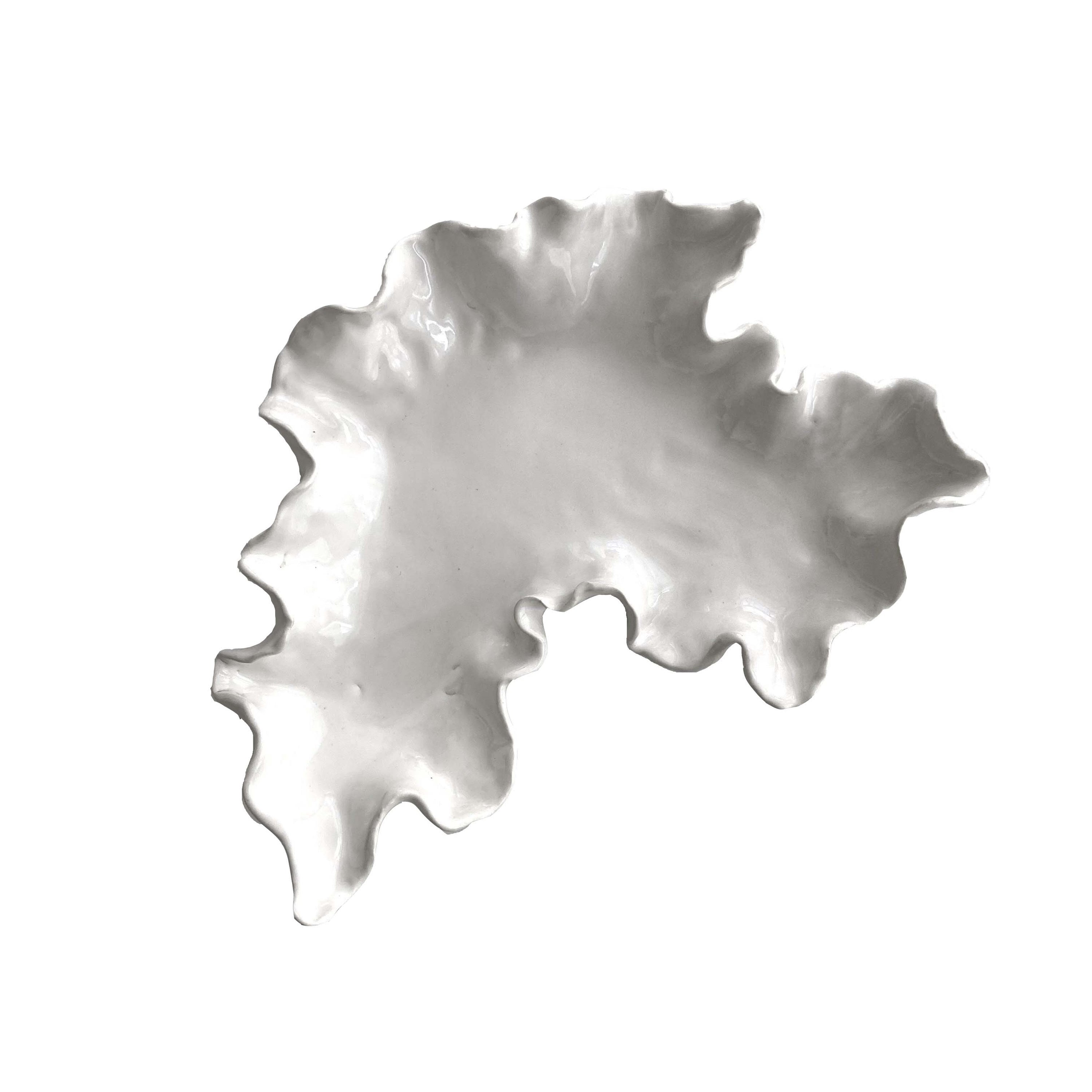 Shell plate - s'leoun 스런 - CAVA LIFE