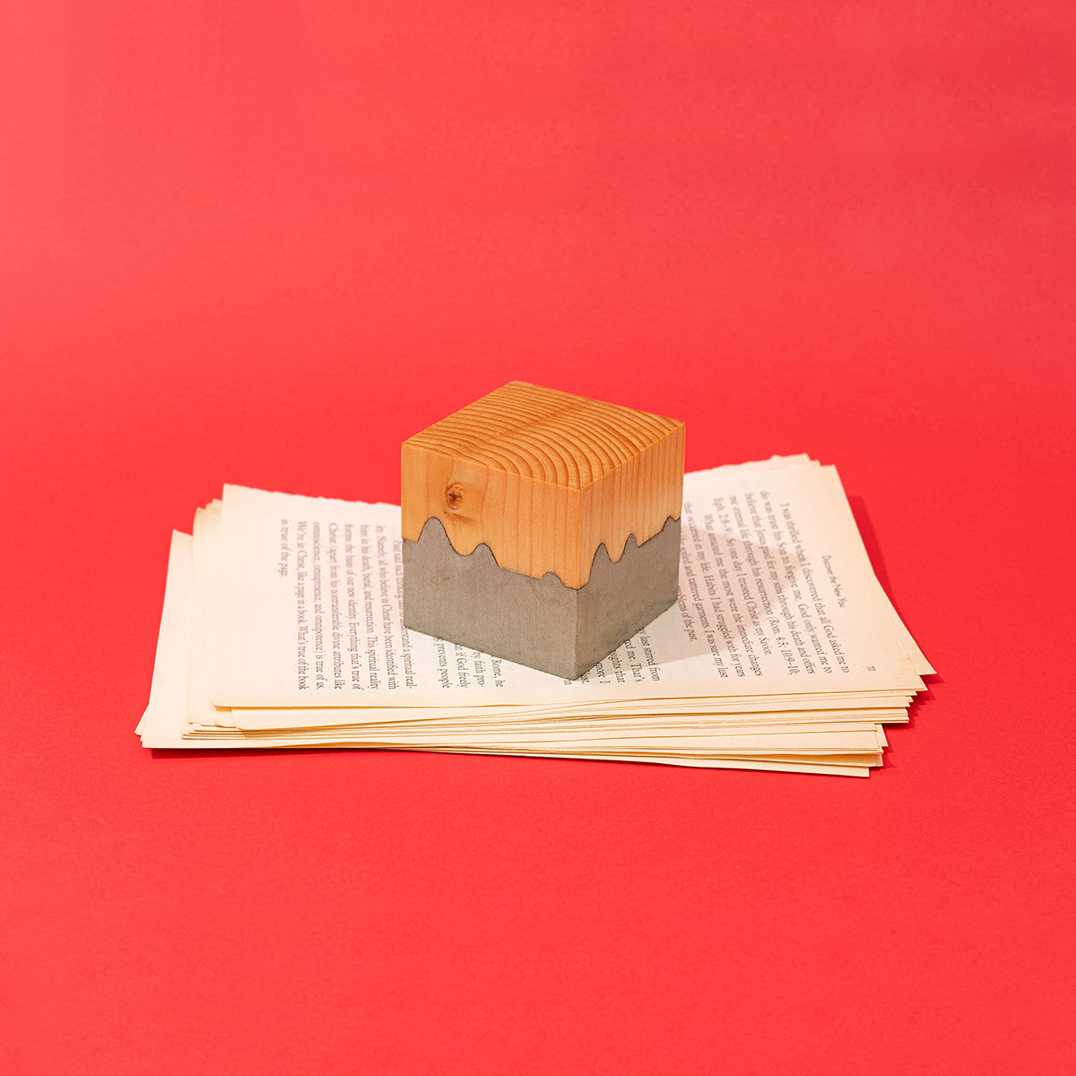 레푸기움; 자연의 단면 - 큐브 - Studio Hoteno 스튜디오 호테노 - CAVA LIFE