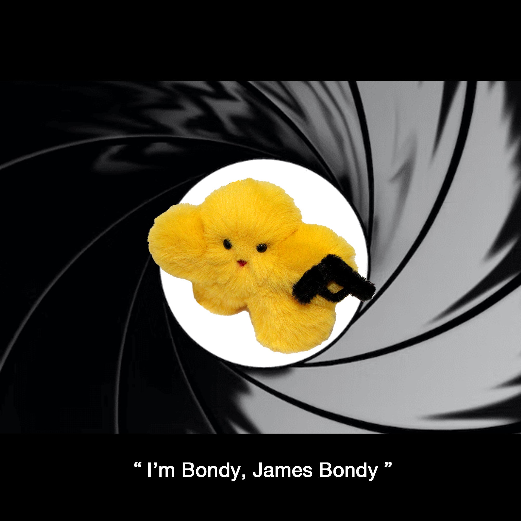 제임스 본디 - Suri 수리 - CAVA LIFE