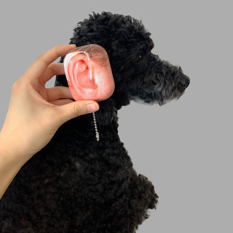 EAR Airpods Case (pro1,2,airpods3) - CRAPPYROOM 크래피룸 - CAVA LIFE