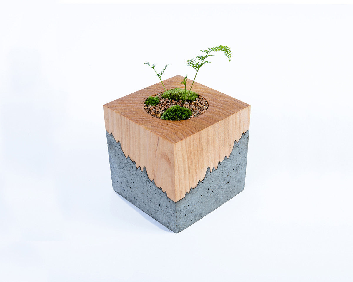 레푸기움; 자연의 단면 - 포트 1홀 타입 - Studio Hoteno 스튜디오 호테노 - CAVA LIFE