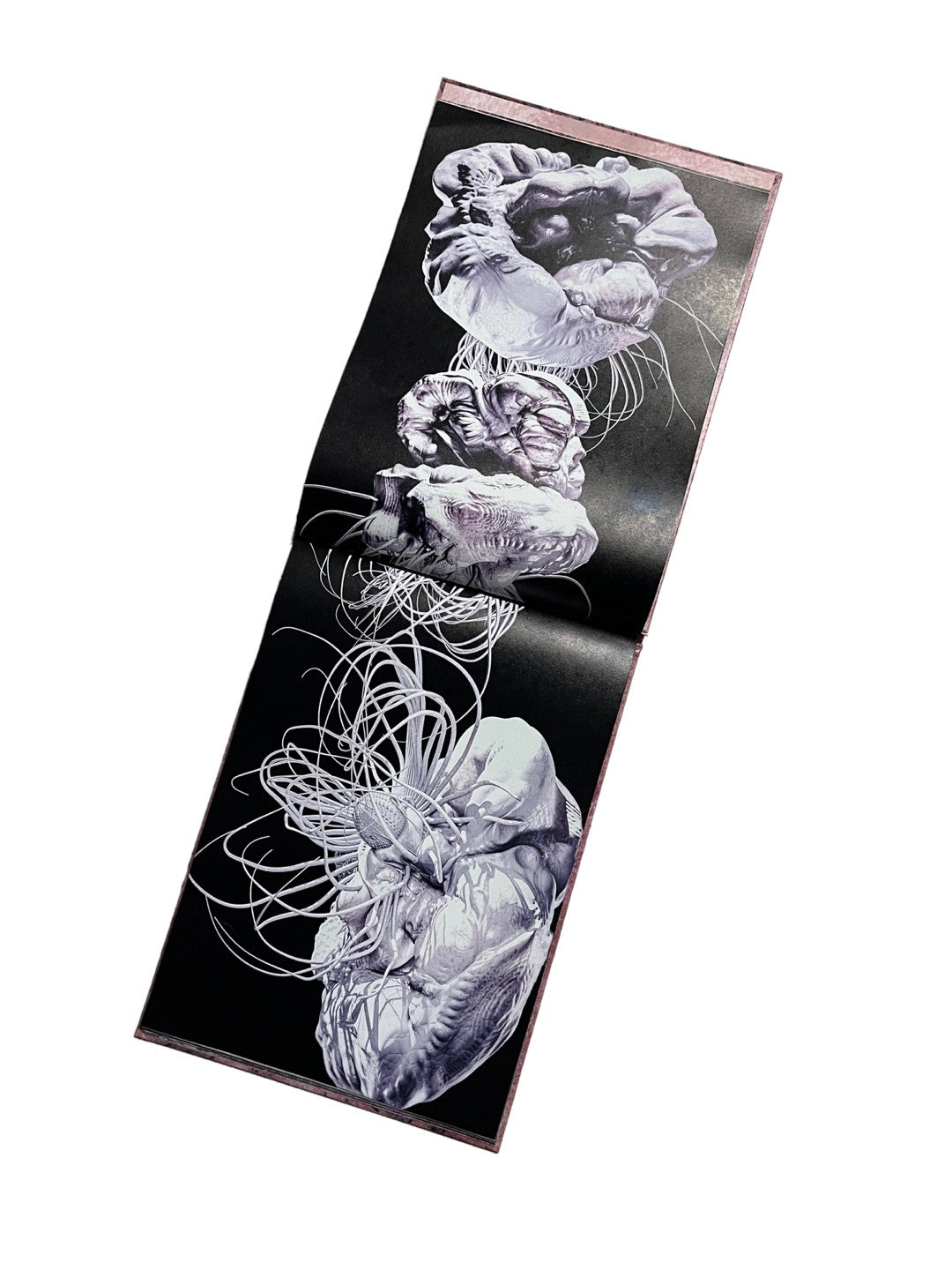 인간빙하 (HUMAN ICEBERG) - JINA LIM (JINBAL) 임진아 / 진발 - CAVA LIFE