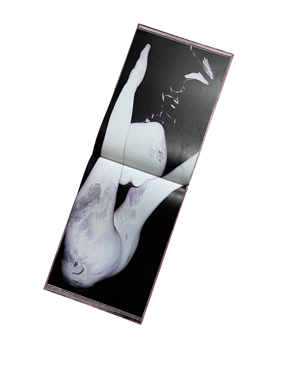 인간빙하 (HUMAN ICEBERG) - JINA LIM (JINBAL) 임진아 / 진발 - CAVA LIFE