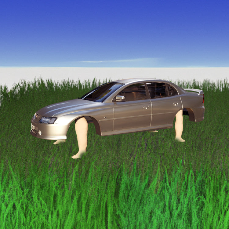 STUPID CAR hard case