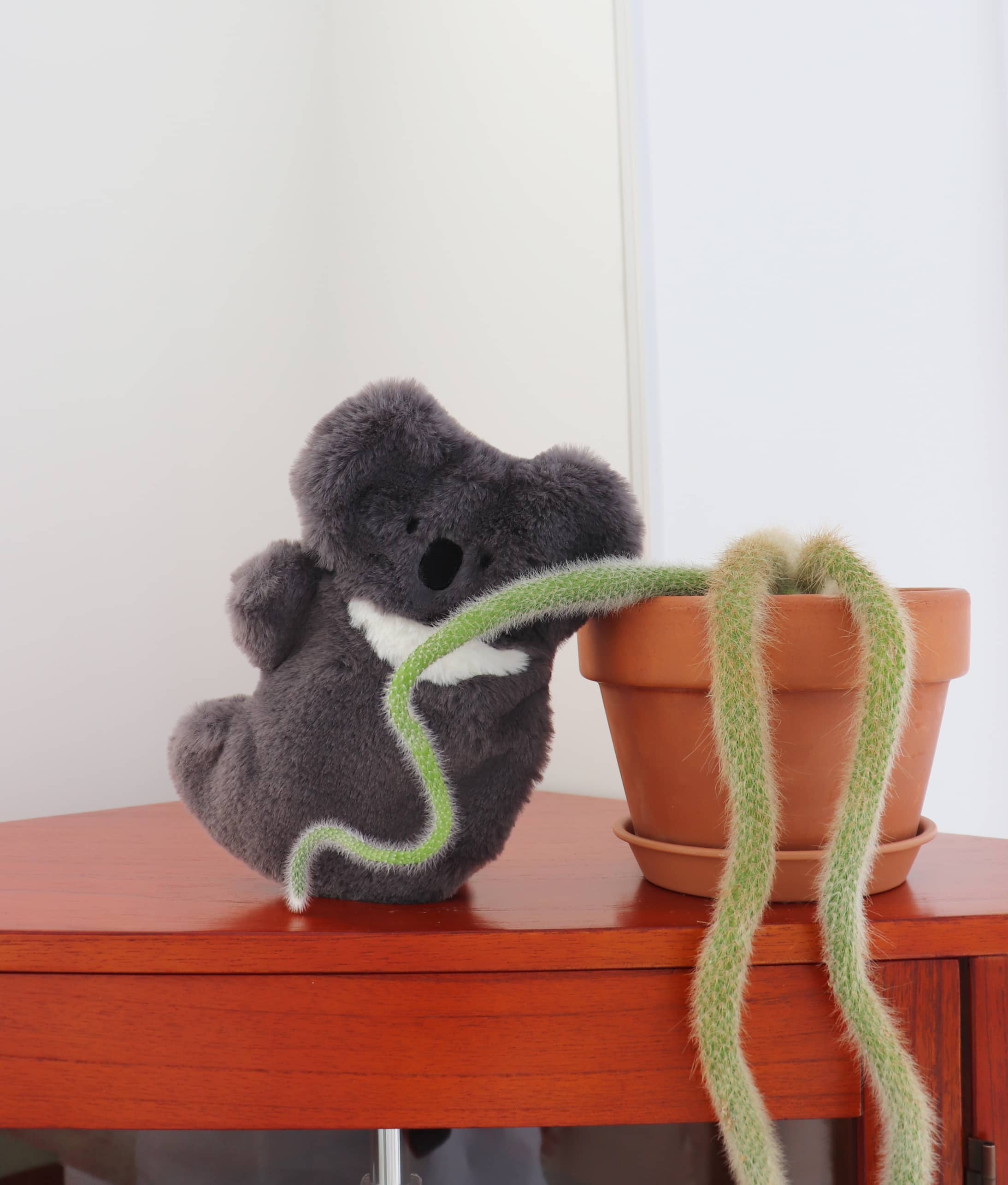 허그코알라 - hozumi 호즈미 - CAVA LIFE